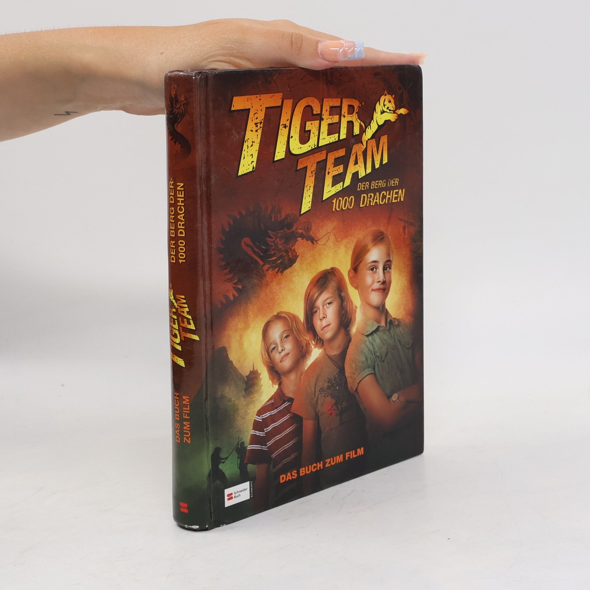 Thomas Brezina Tiger-Team, Der Berg der 1000 Drachen