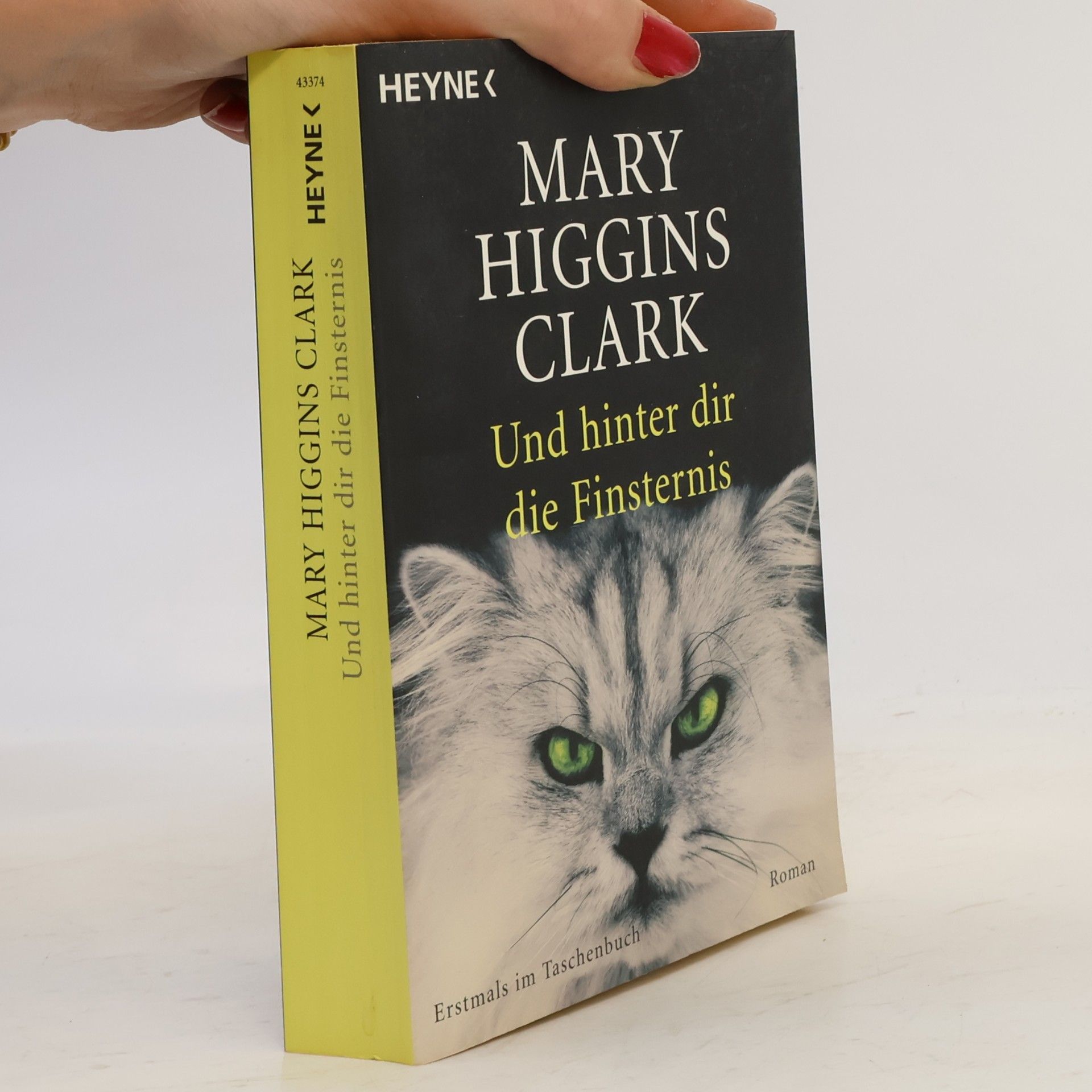 Mary Higgins Clark Und hinter dir die Finsternis