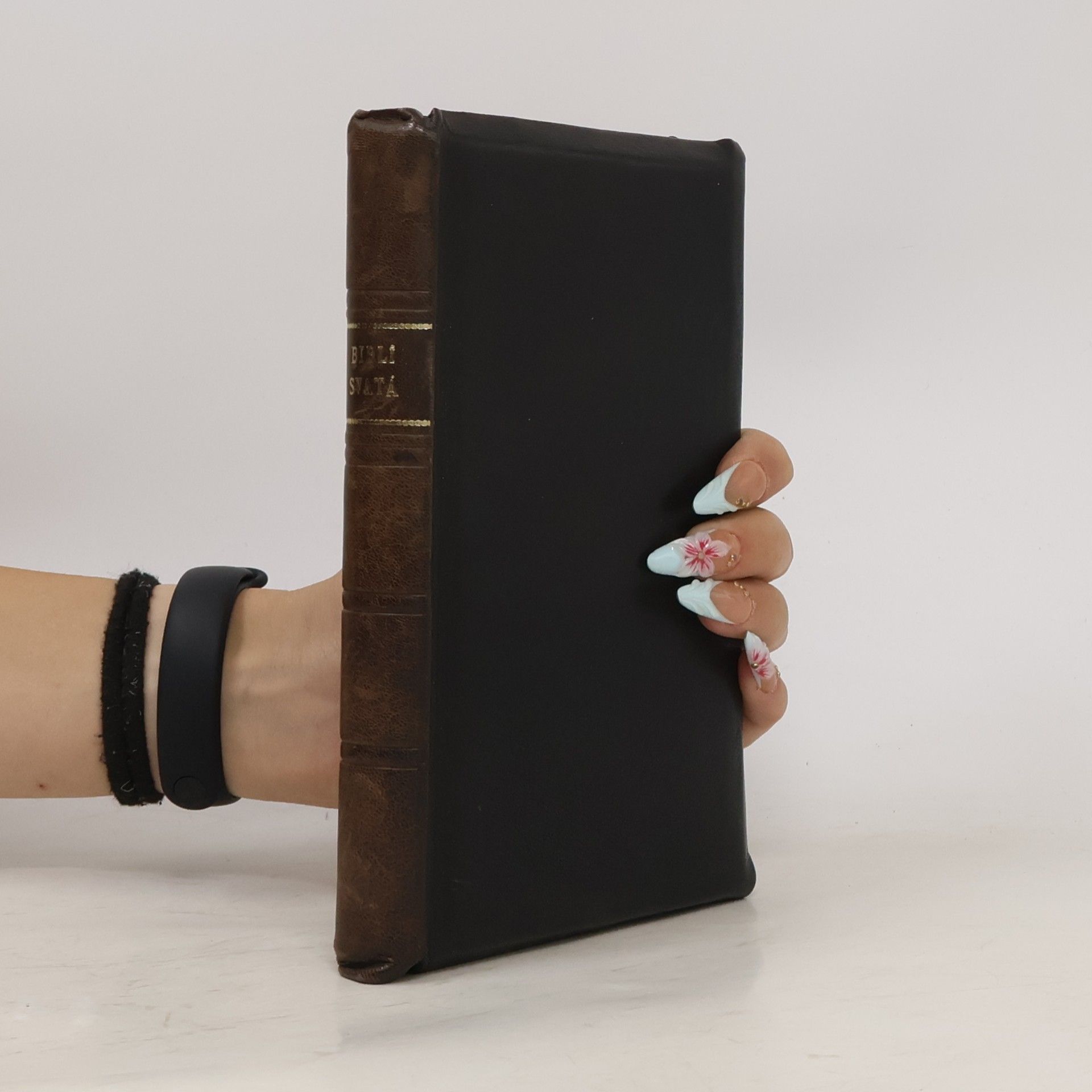 Autorenkollektiv Biblí svatá aneb všecka svatá písma starého i nového zákona
