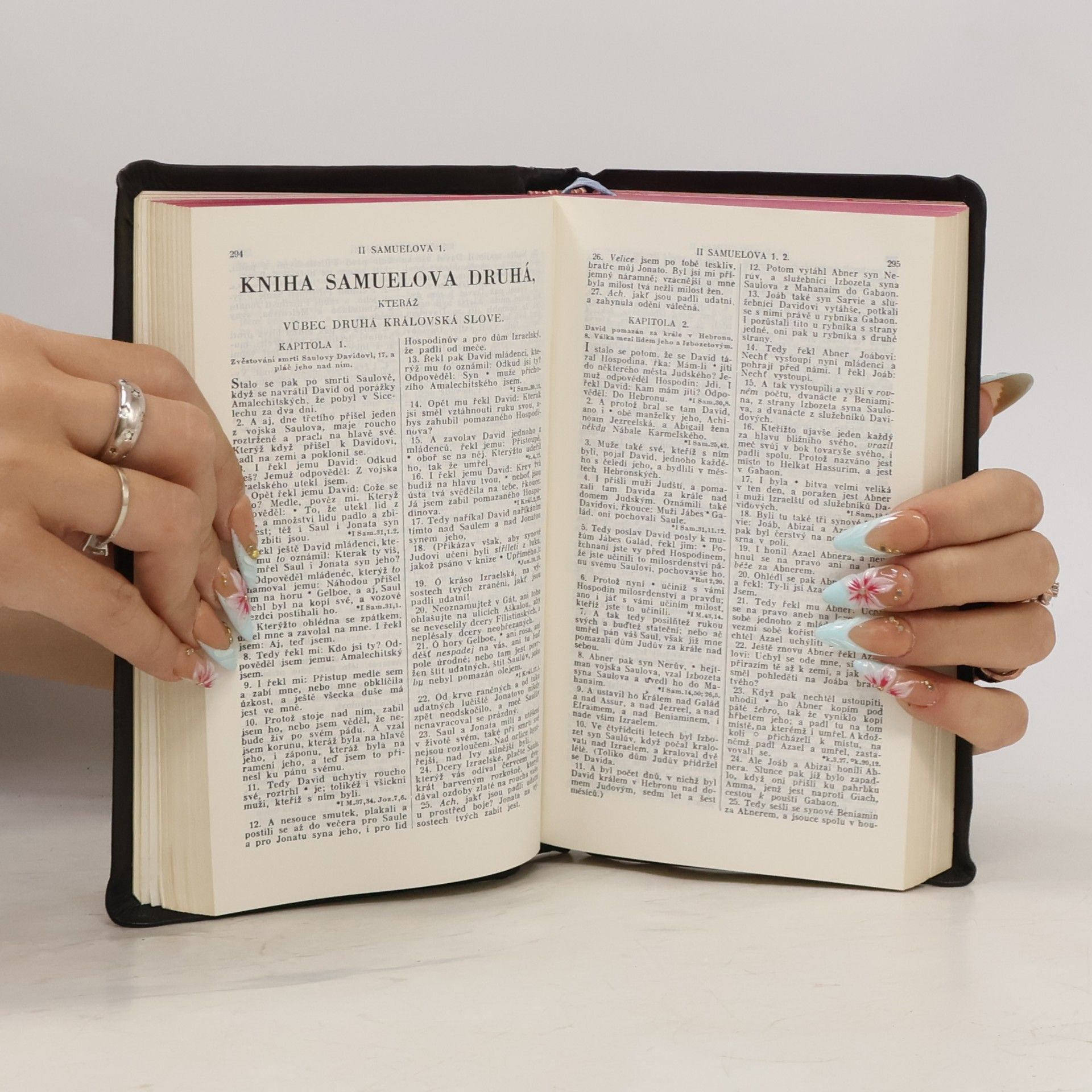 Autorenkollektiv Biblí svatá aneb všecka svatá písma starého i nového zákona