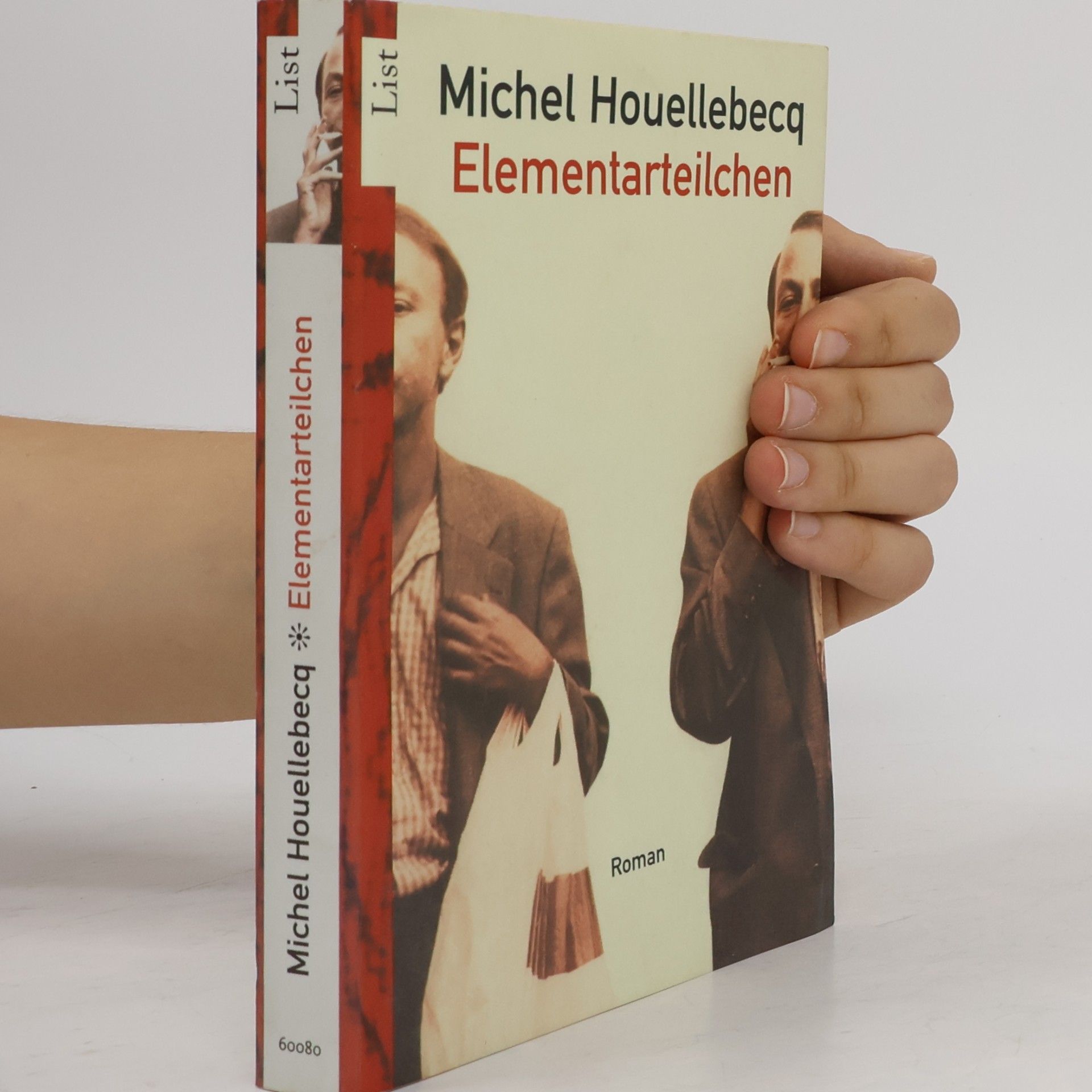 Michel Houellebecq Elementarteilchen