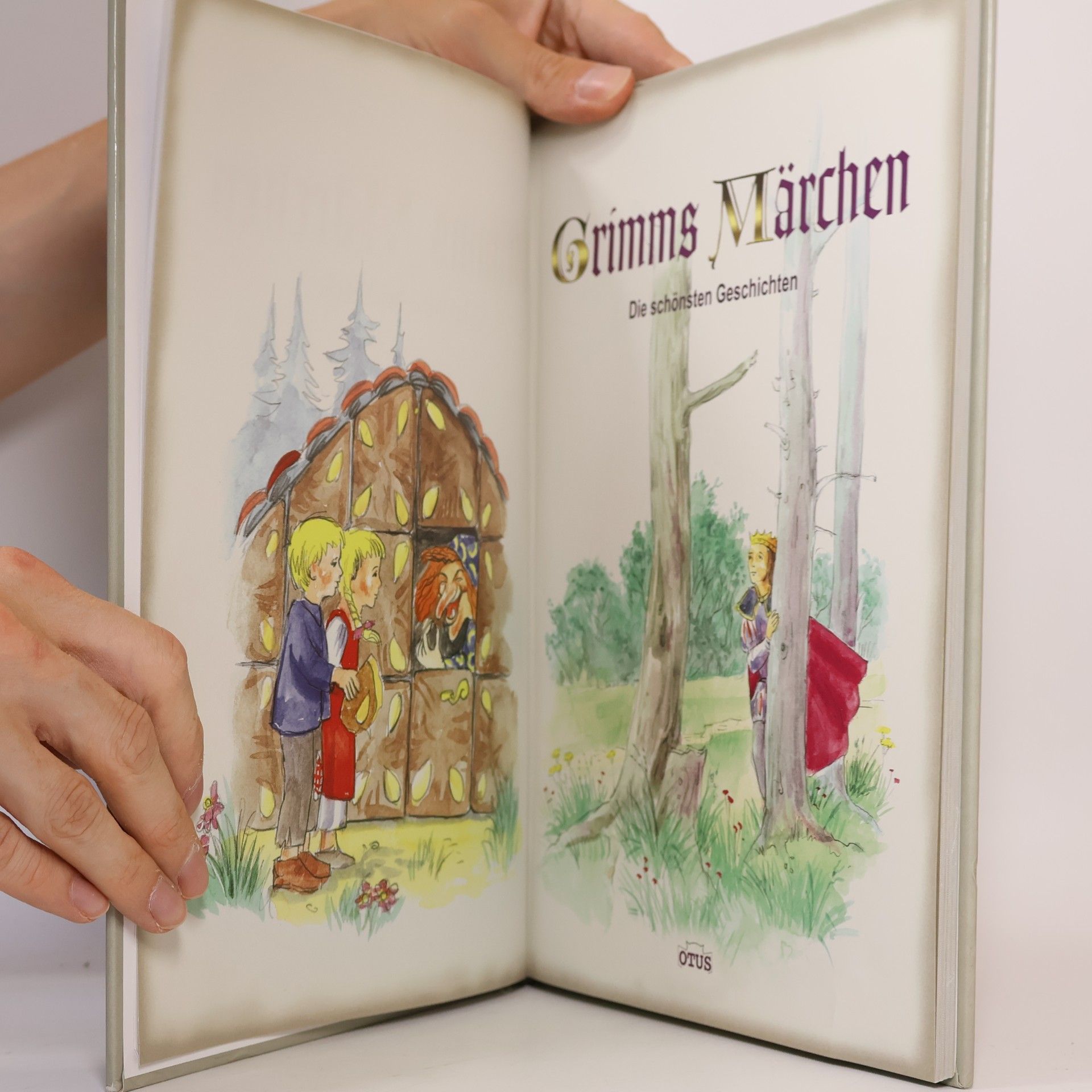 bratři Grimmové Grimms Märchen. Die schönsten Geschichten