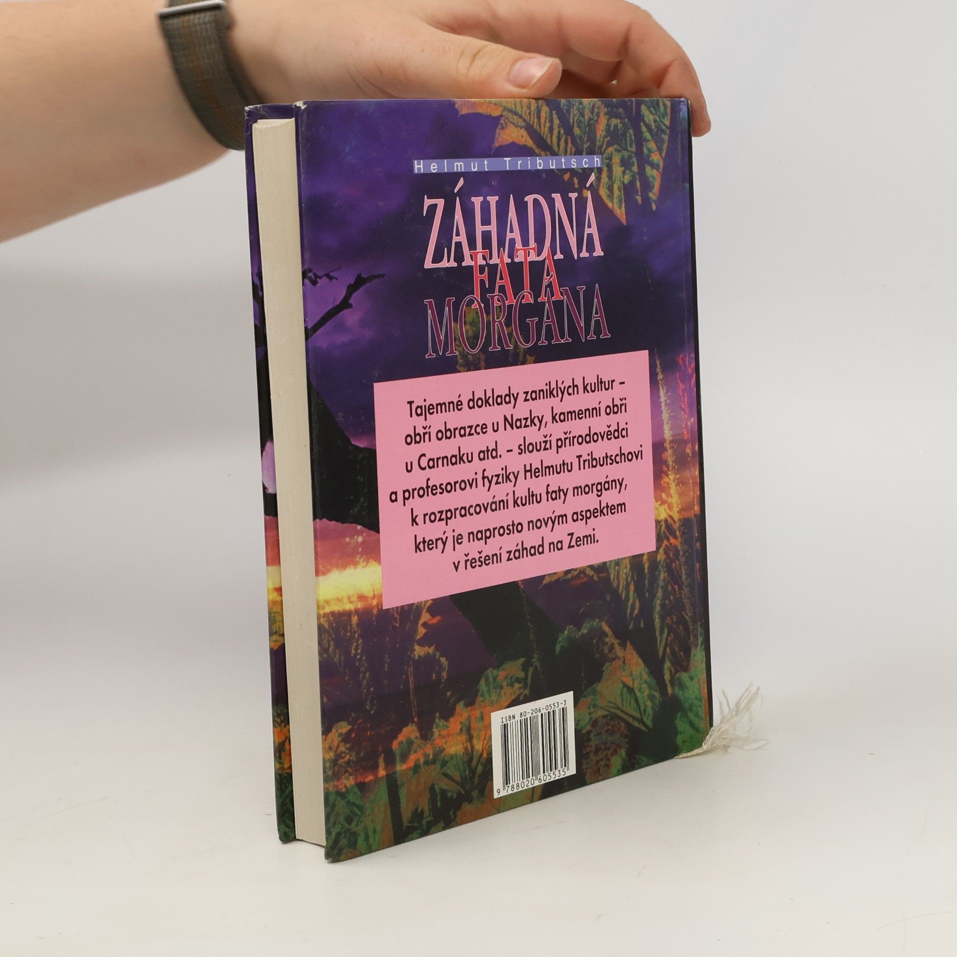 Helmut Tributsch Záhadná fata morgána