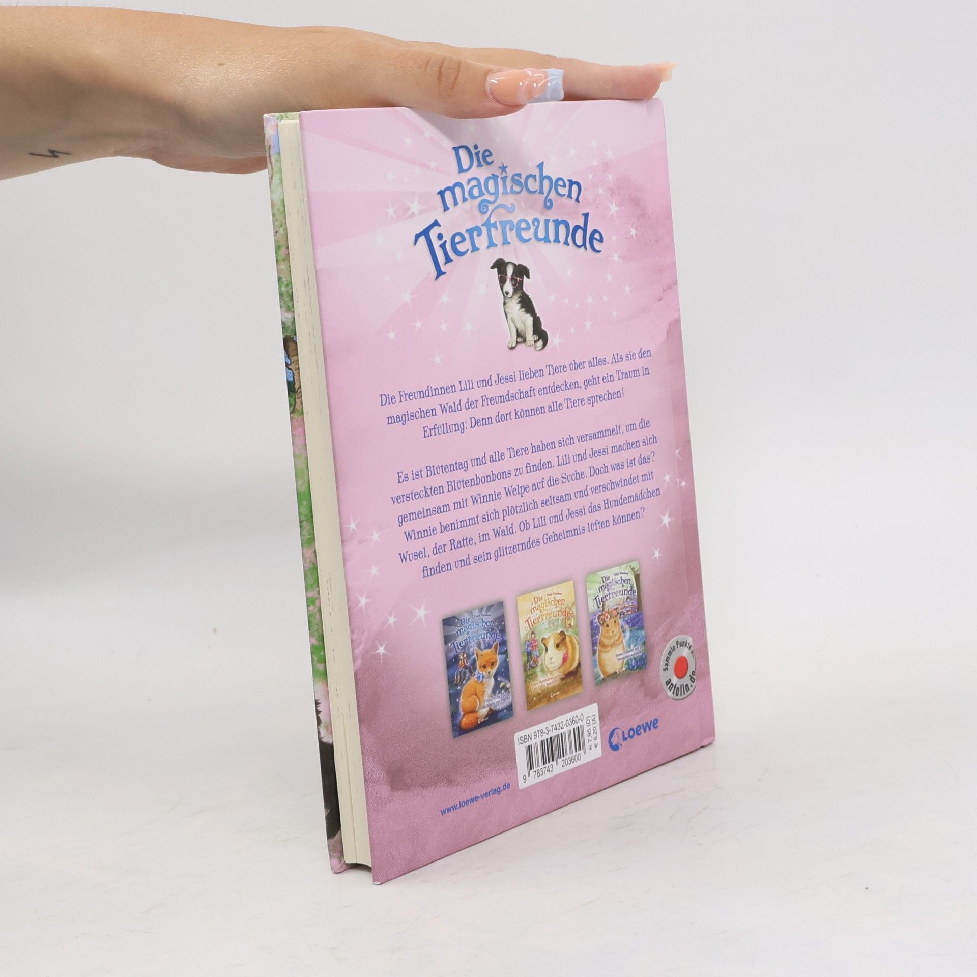 Daisy Meadows Winnie Welpe hat ein glitzerndes Geheimnis