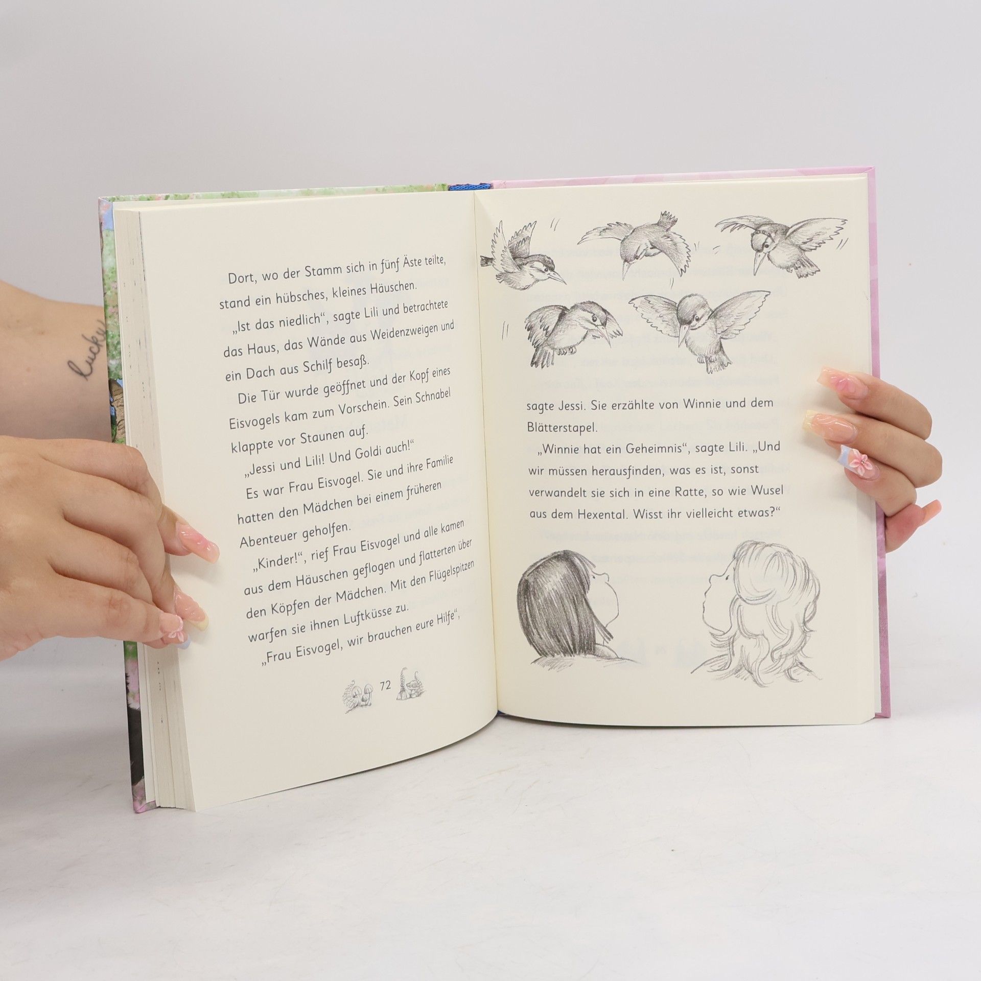 Daisy Meadows Winnie Welpe hat ein glitzerndes Geheimnis