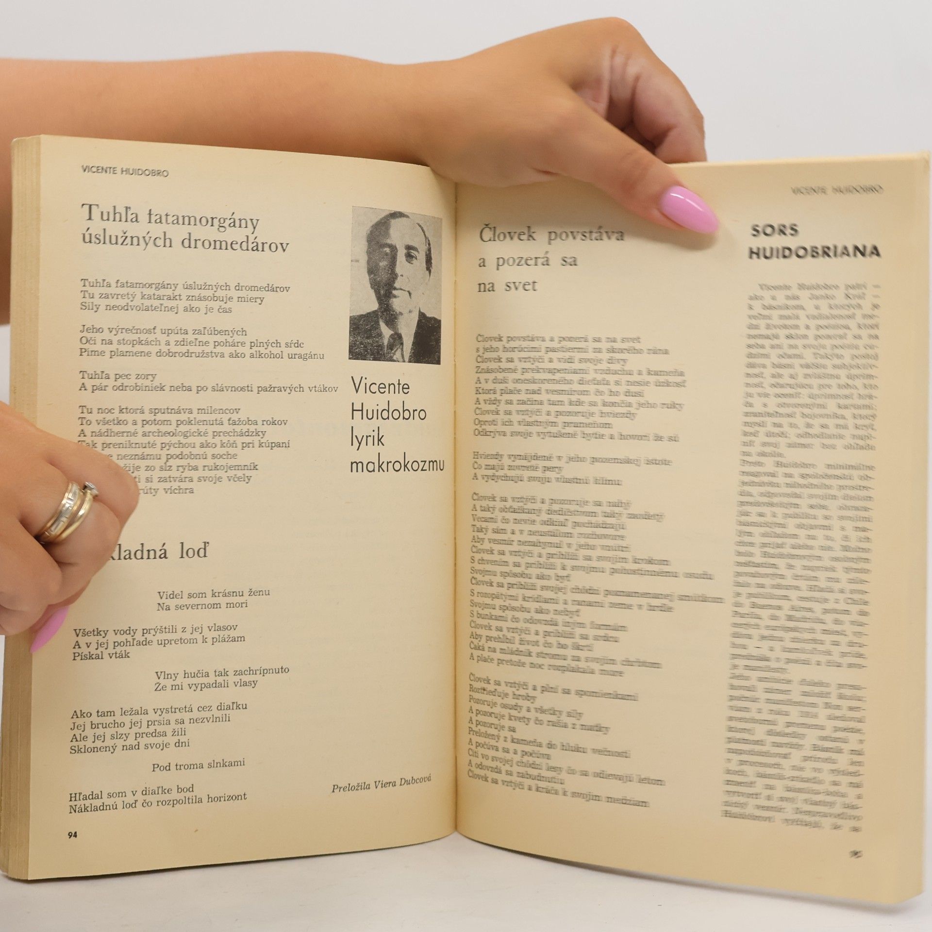 Autorenkollektiv Revue svetovej literatury 1/1971