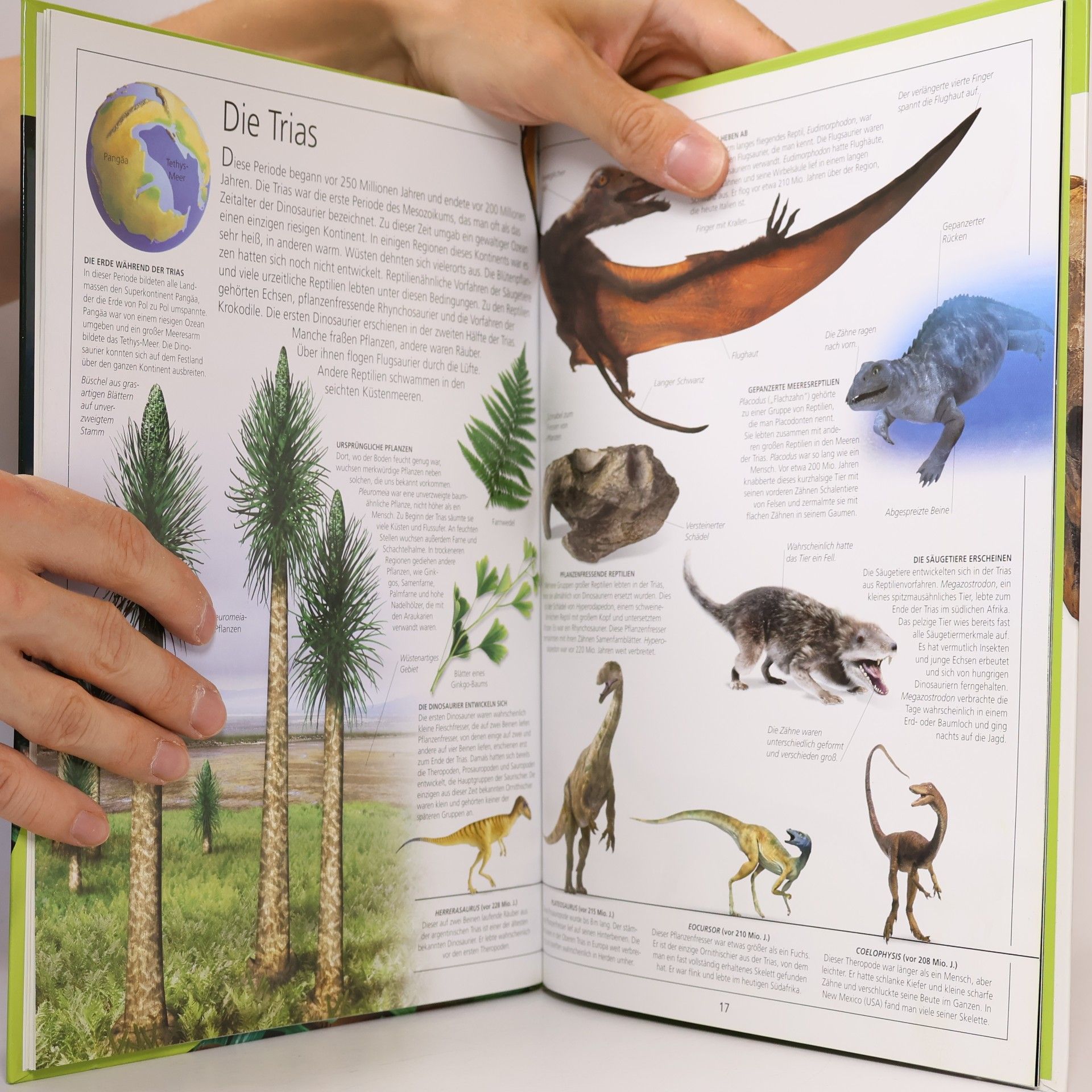 Various authors Dinosaurier