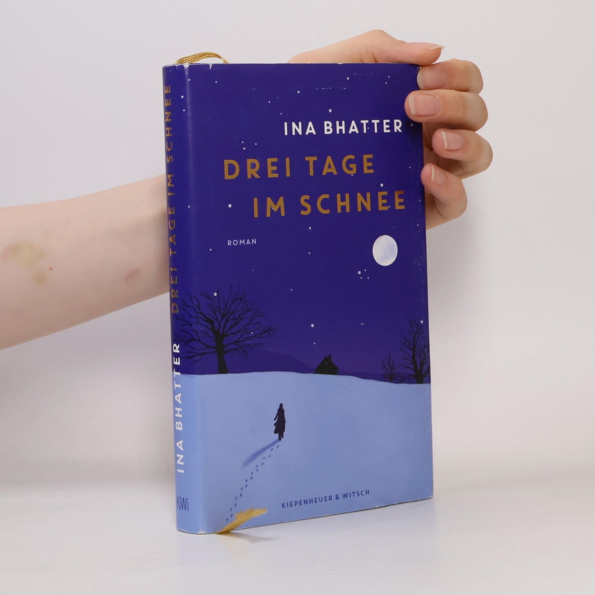 Ina Bhatter Drei Tage im Schnee