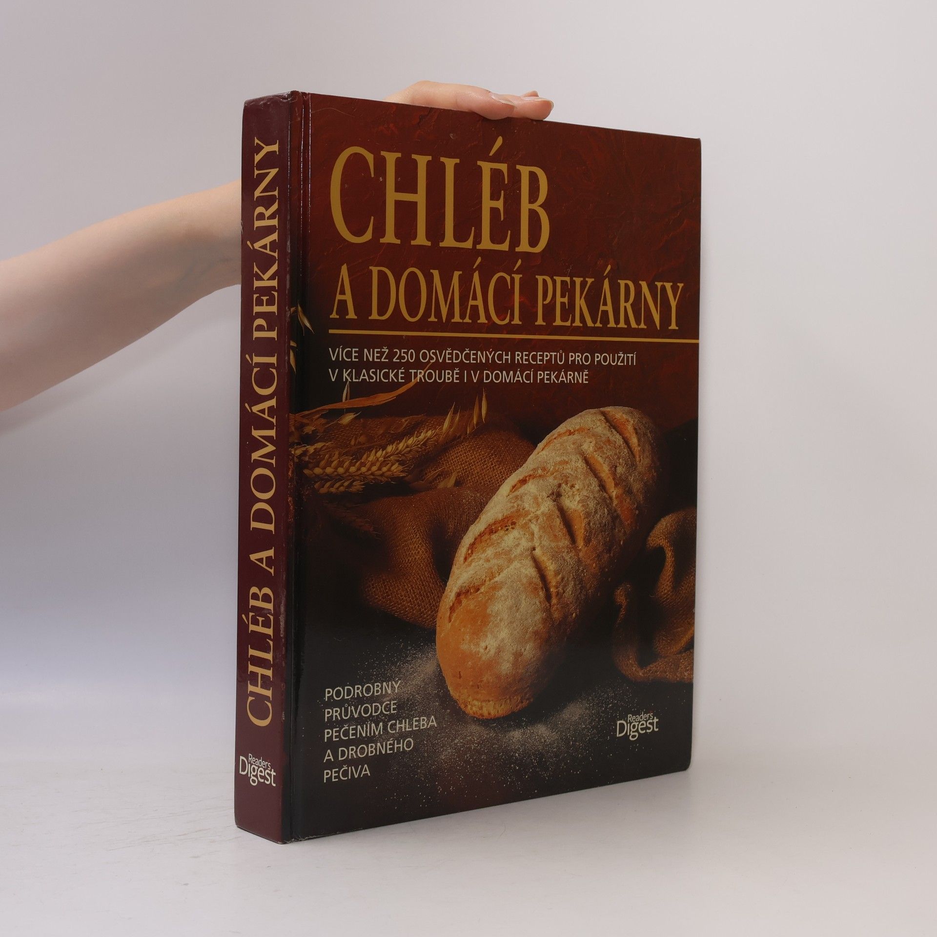 Autorenkollektiv Chléb a domácí pekárny