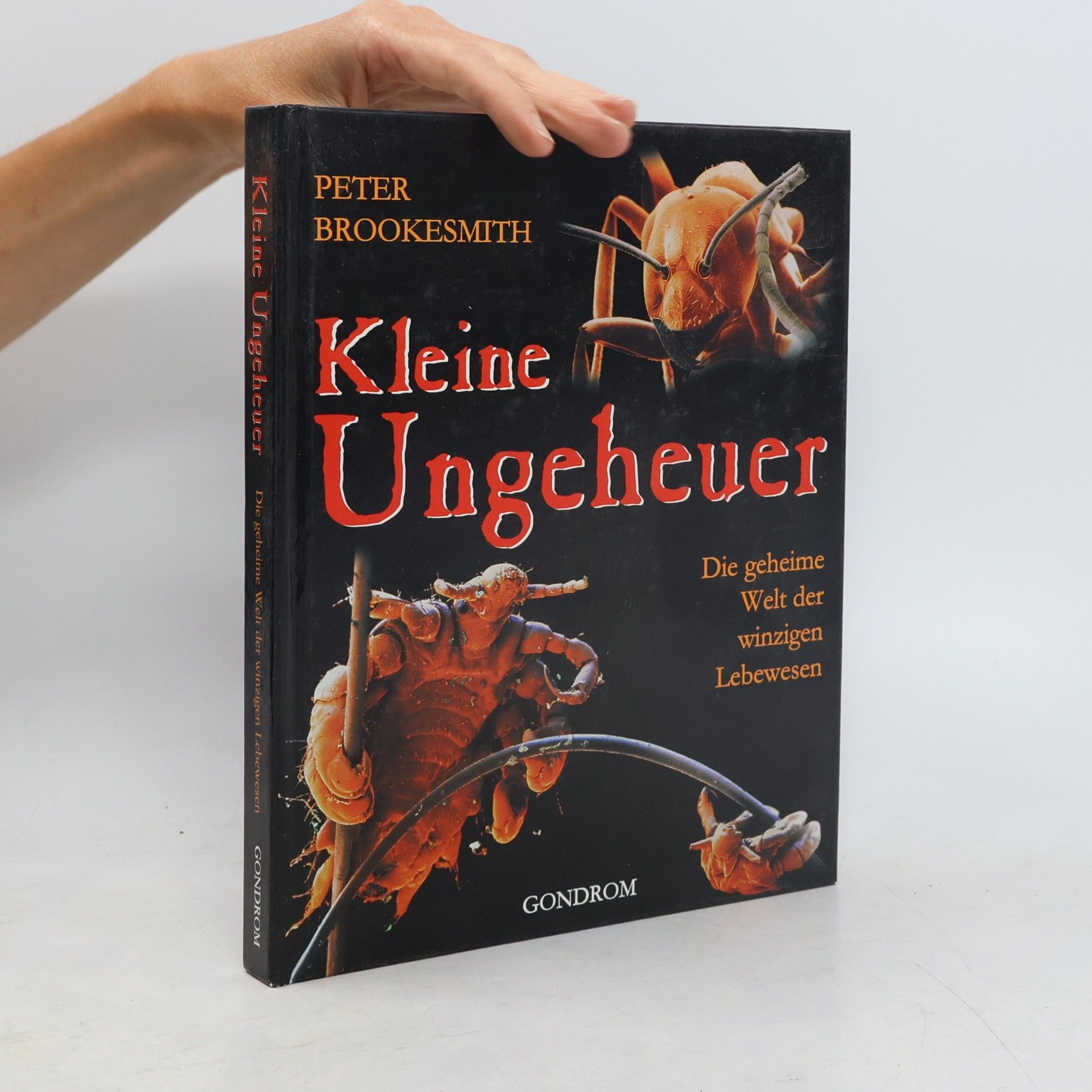 Kleine Ungeheuer