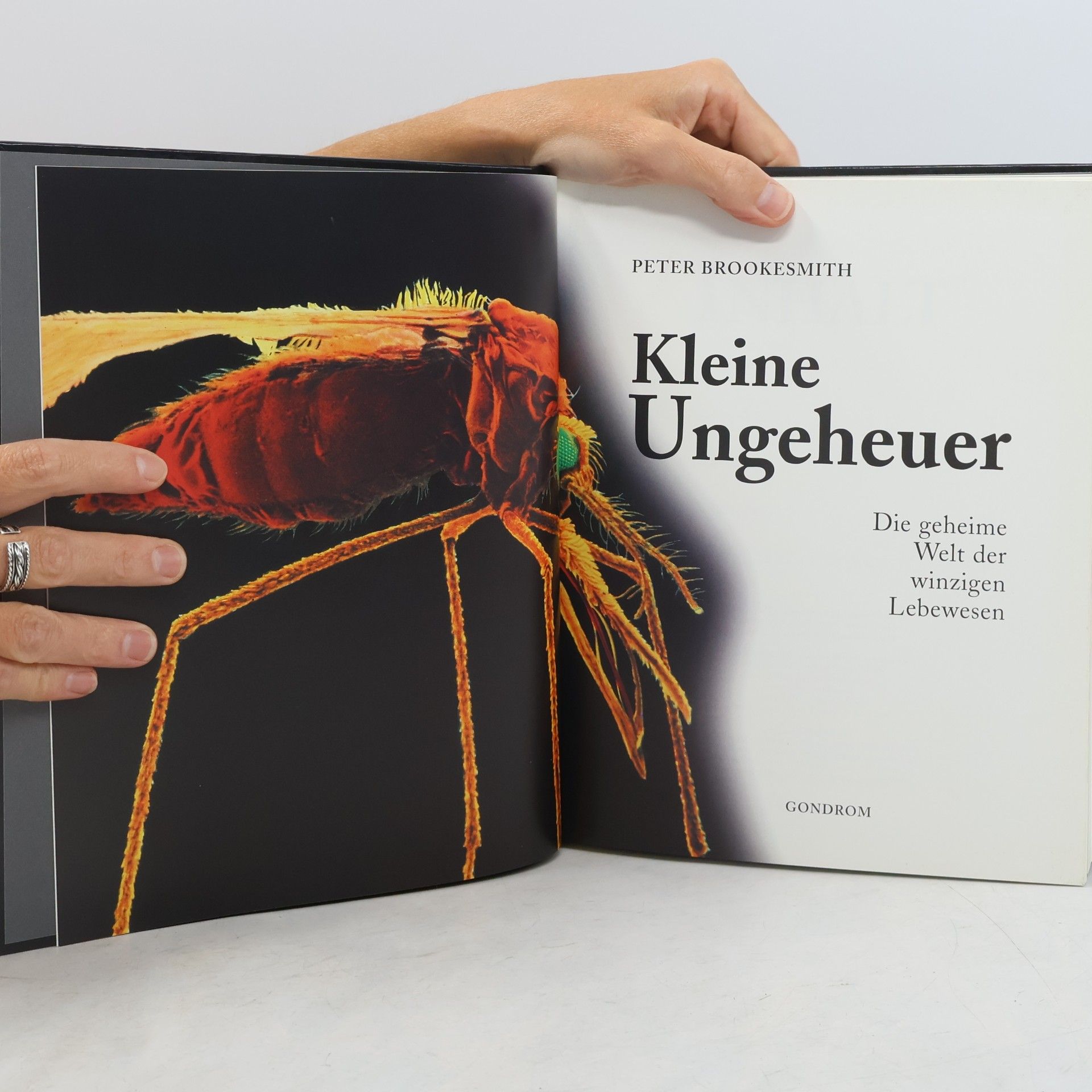 Peter Brookesmith Kleine Ungeheuer
