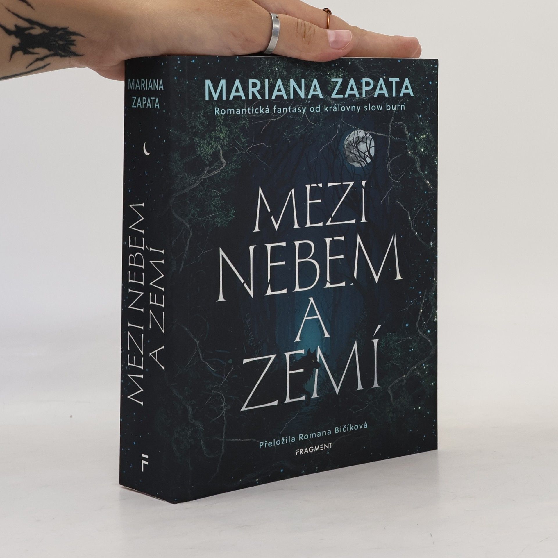 Mezi nebem a zemí