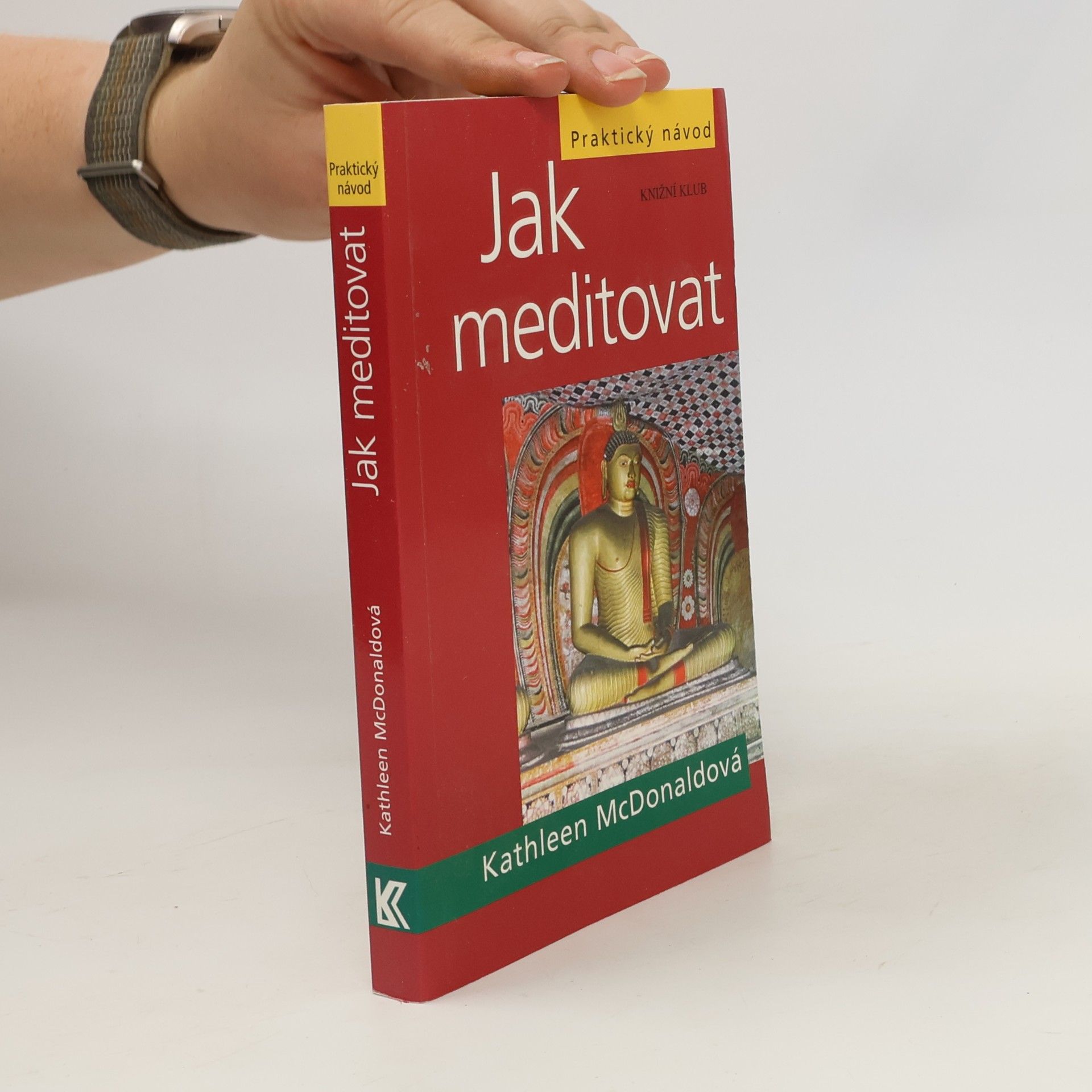 Kathleen McDonald Jak meditovat