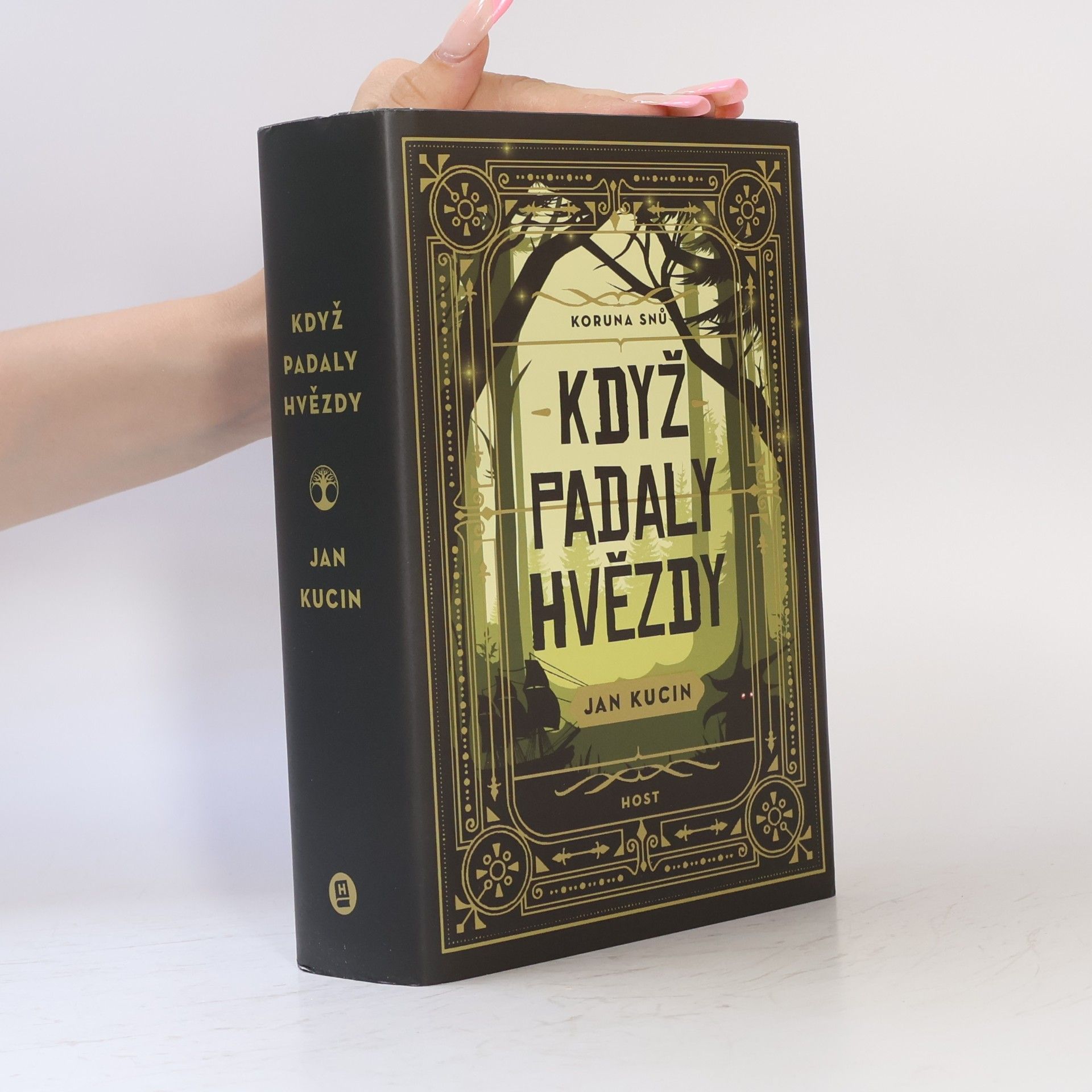 Jan Kucin Koruna snů. Když padaly hvězdy