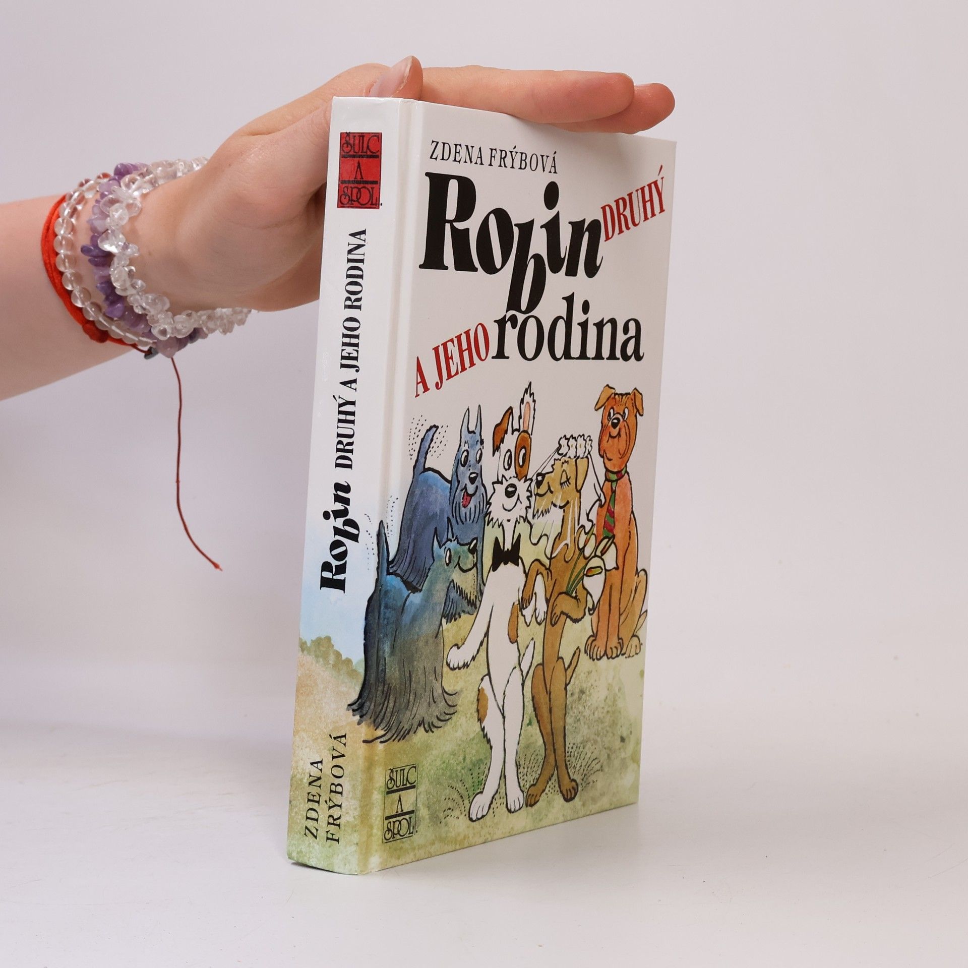 Zdena Frýbová Robin Druhý a jeho rodina