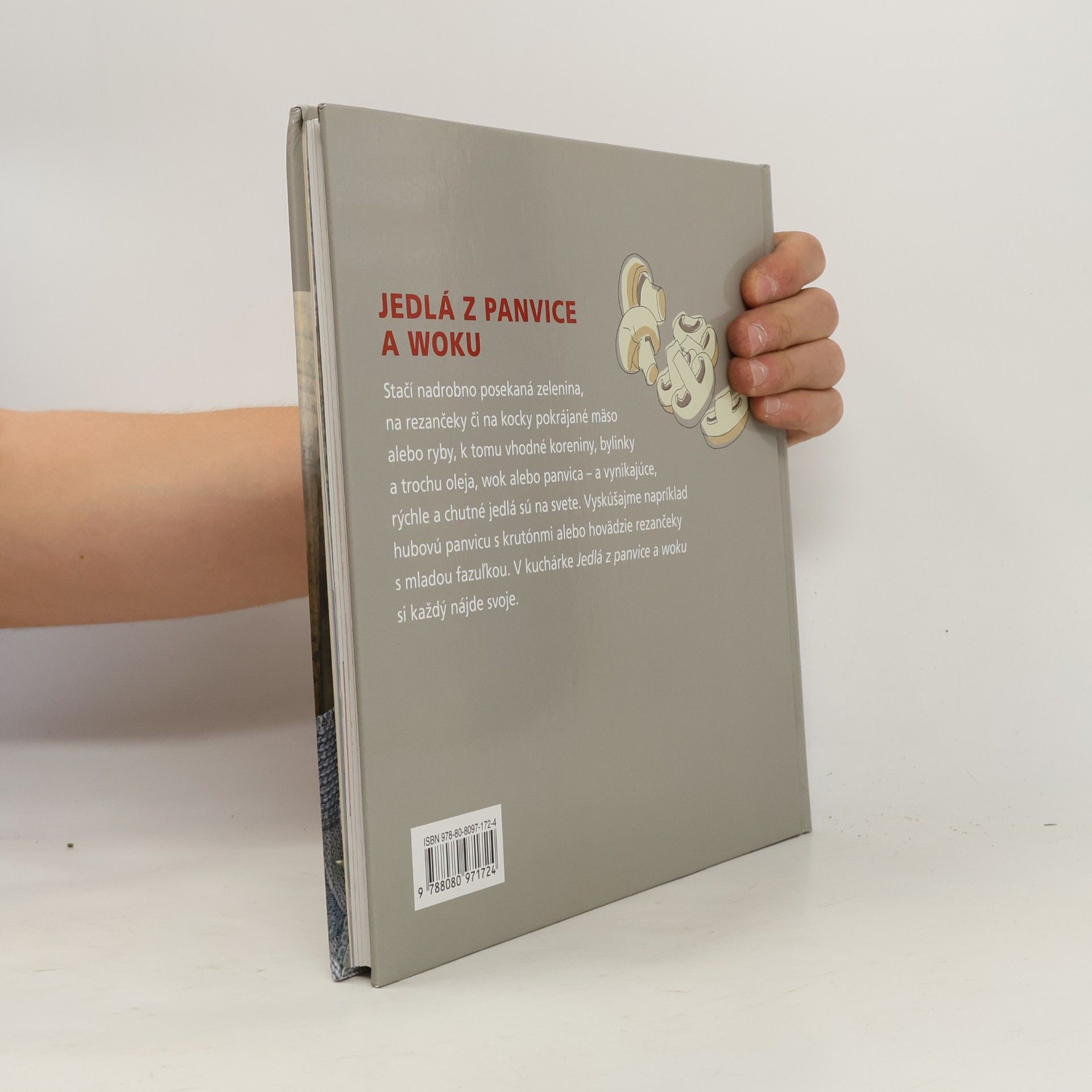 Autorenkollektiv Jedlá z panvice a woku