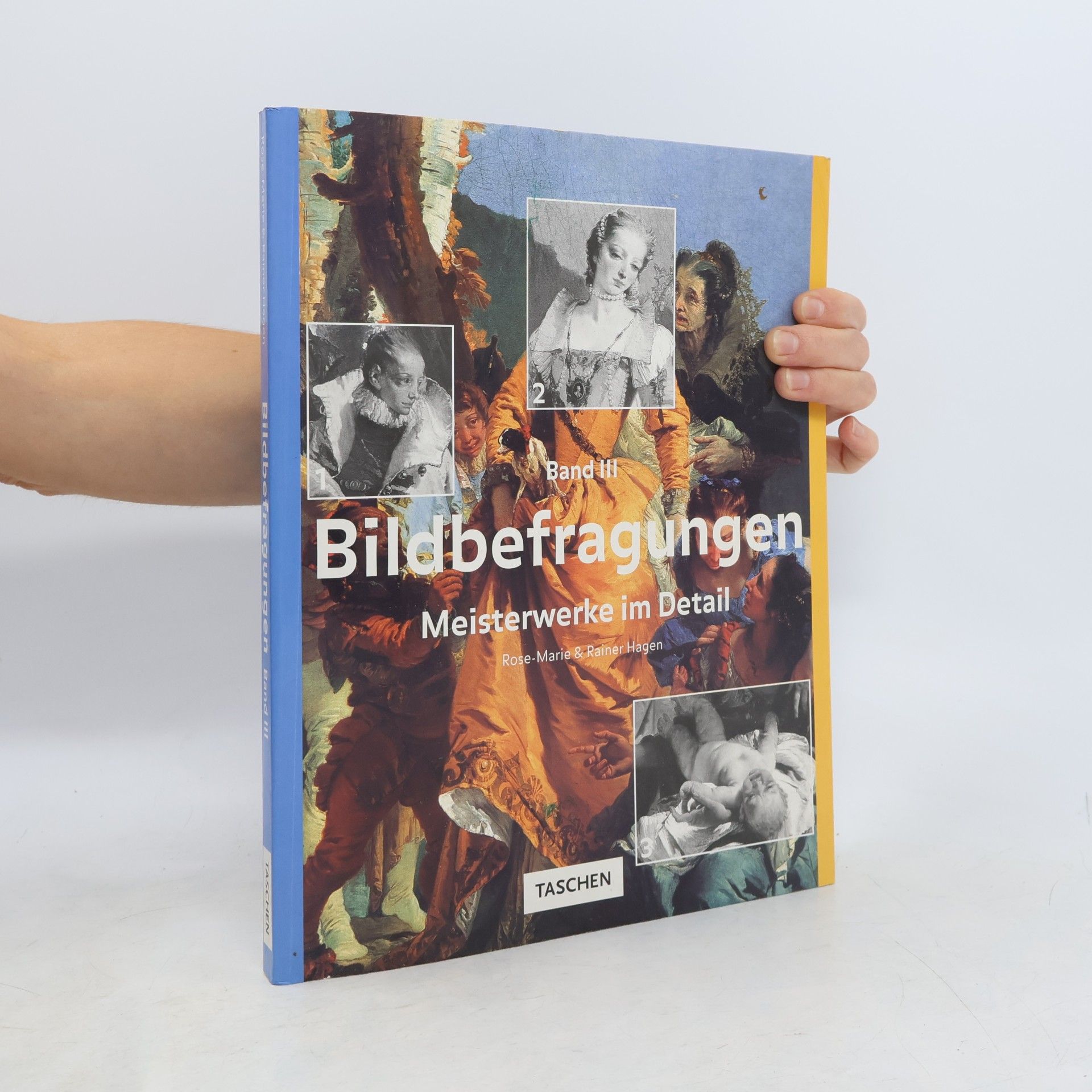 Rose Marie Hagen Bildbefragungen