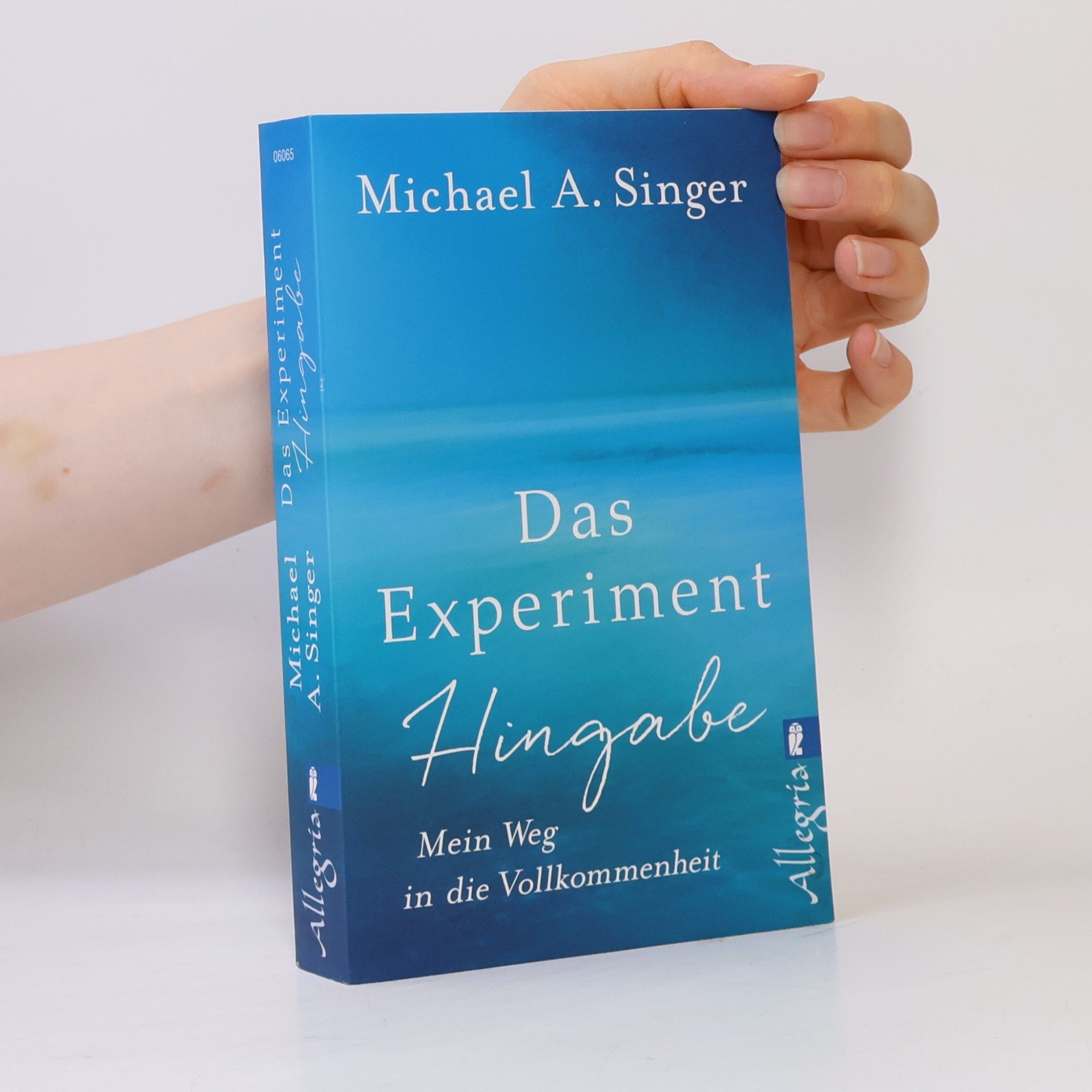 Michael A. Singer Das Experiment Hingabe