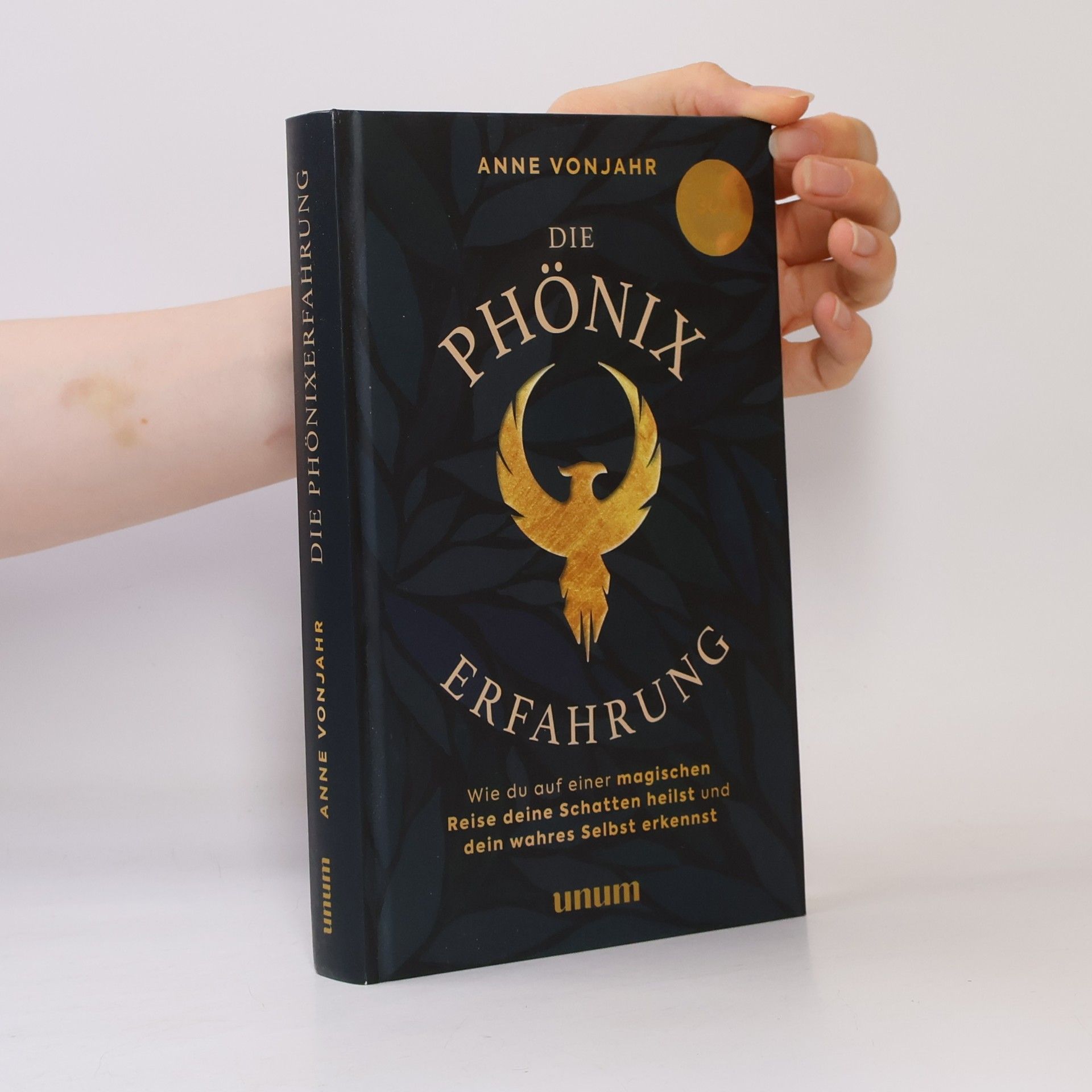 Die Phönixerfahrung