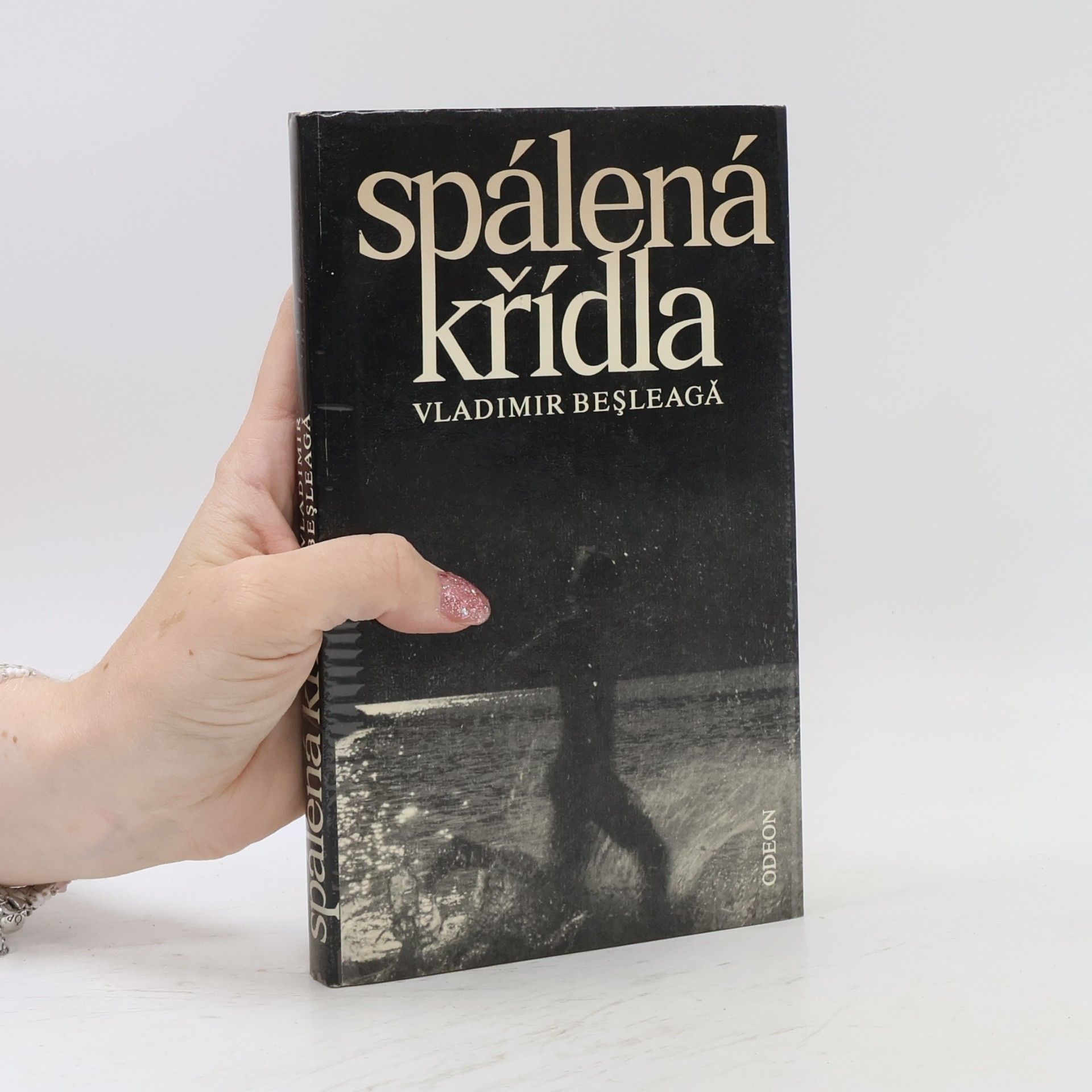 Vladimir Besleagă Spálená křídla