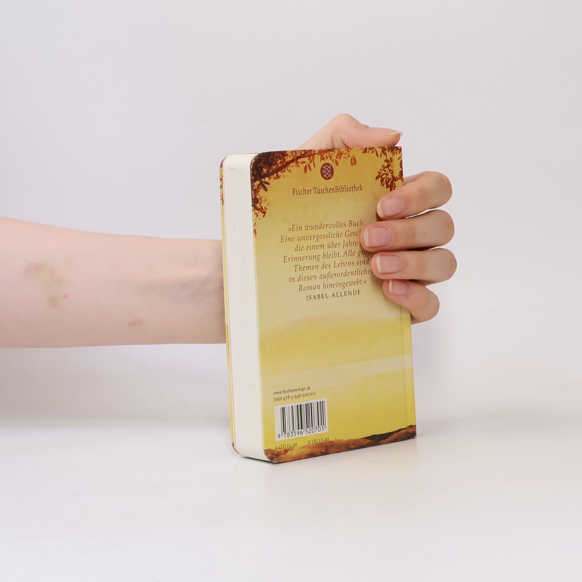 Khaled Hosseini Tausend strahlende Sonnen