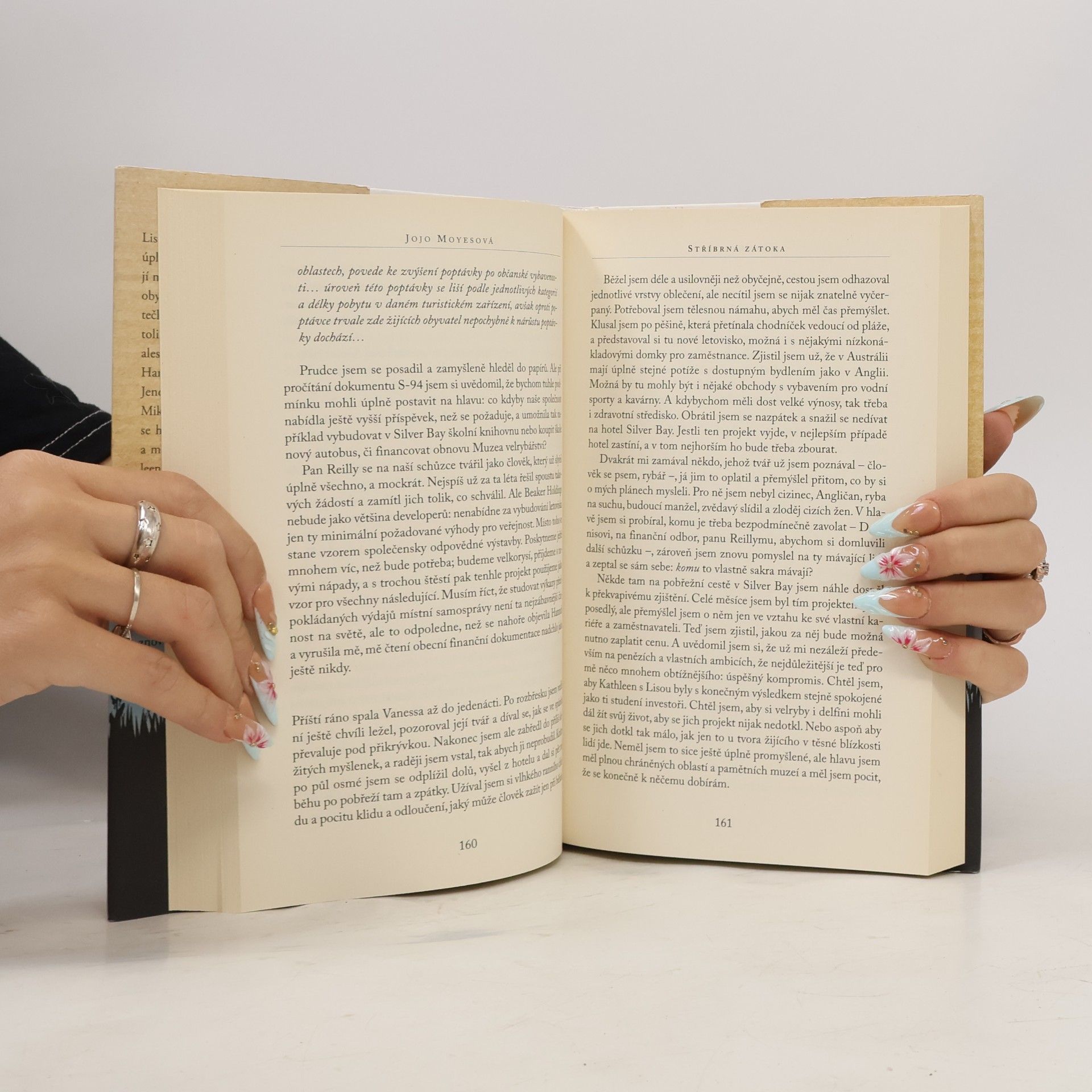 Jojo Moyes Stříbrná zátoka