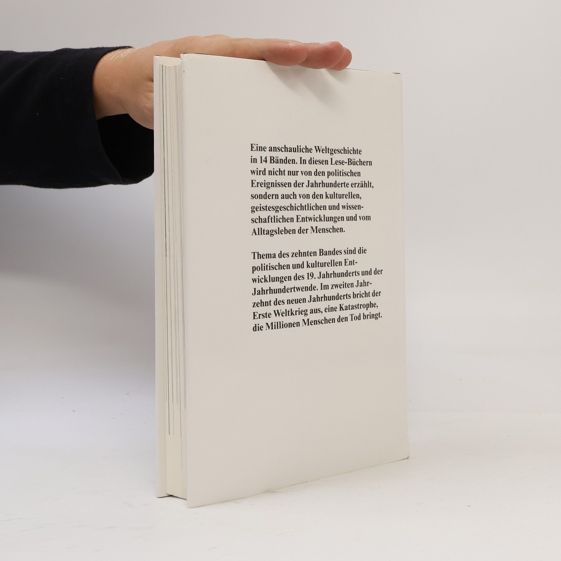 Heinrich Pleticha Deutsche Geschichte 10. Fürstenhöfe und Fabriken