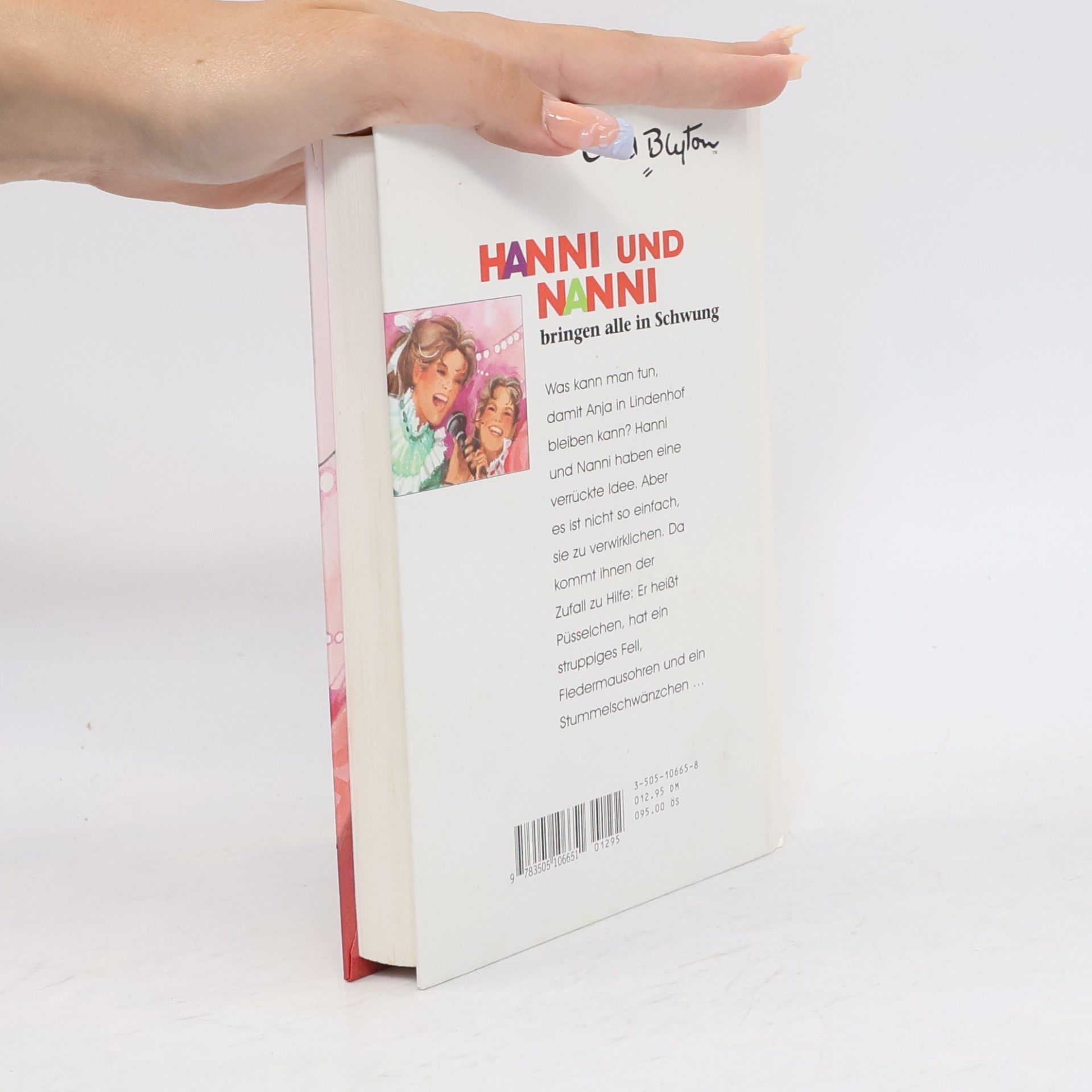 Enid Blyton Hanni und Nanni bringen alle in Schwung