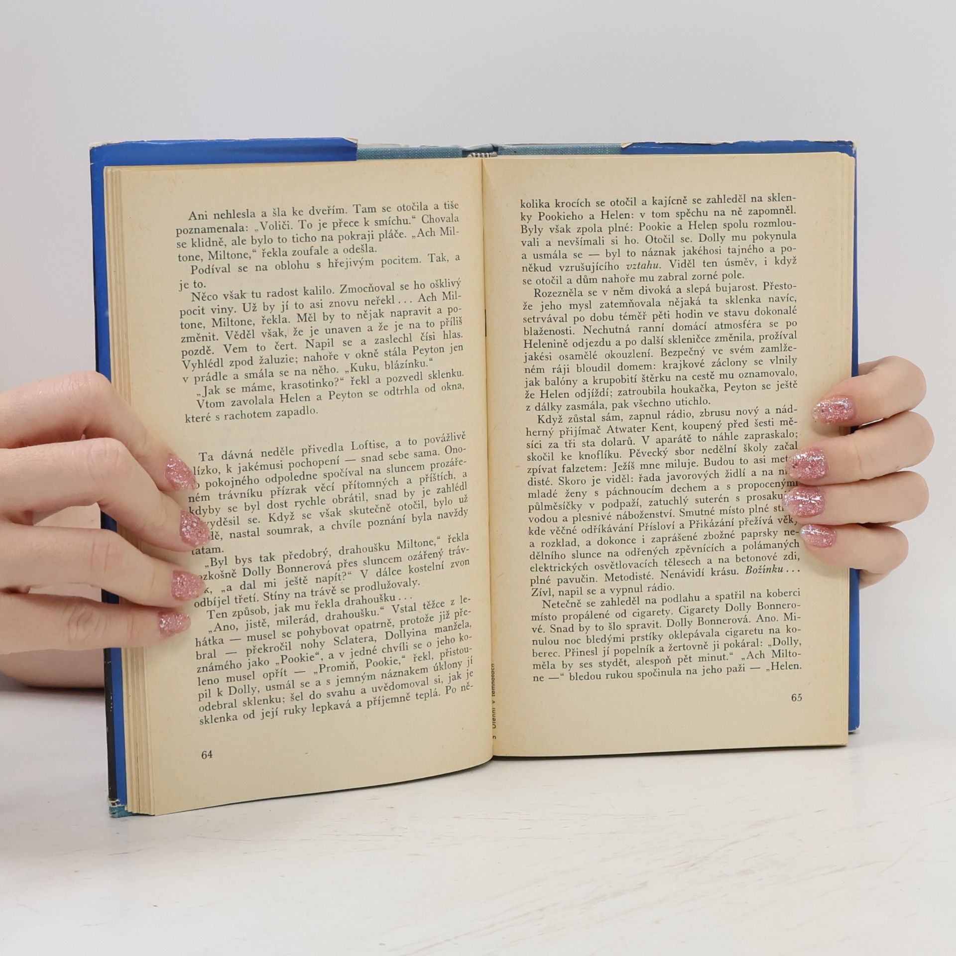 William Styron Ulehni v temnotách