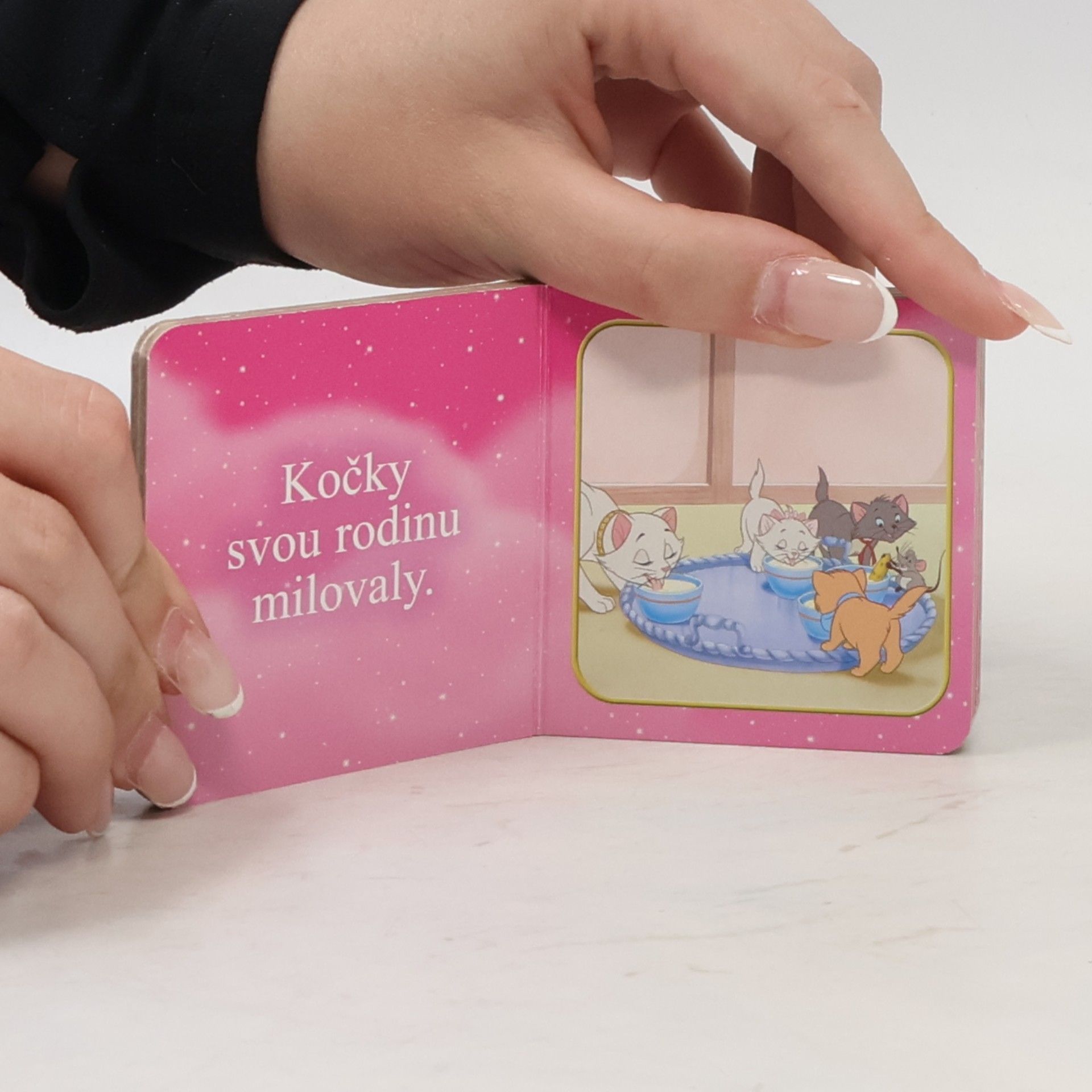 Autorenkollektiv Aristokočky