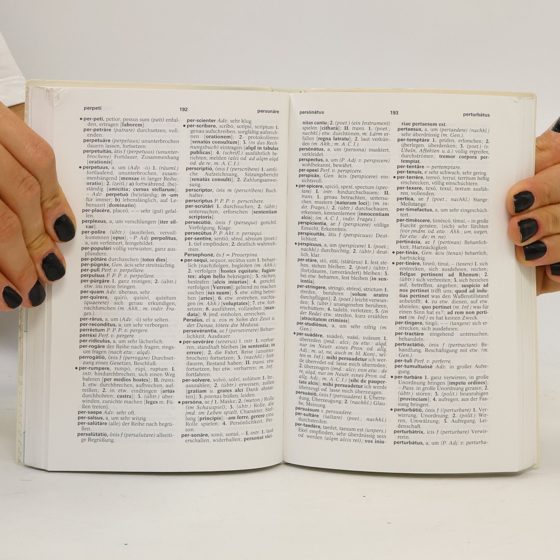 Rita Hau PONS Standardwörterbuch