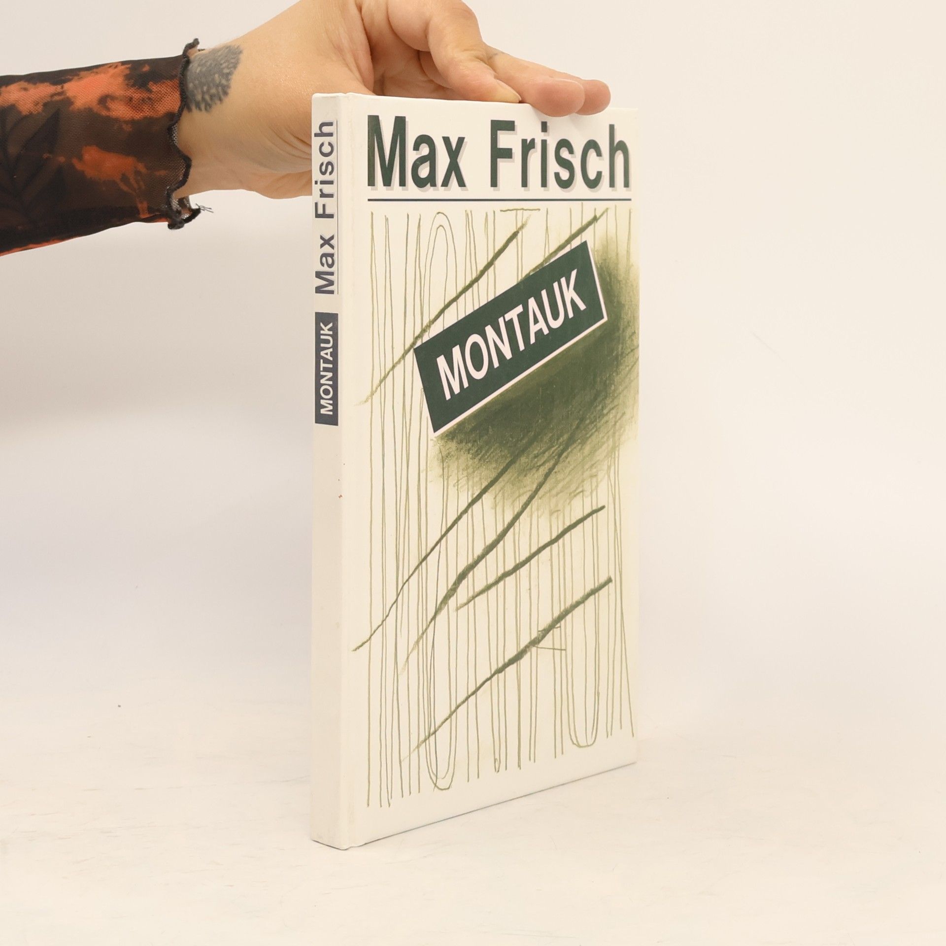 Max Frisch Montauk