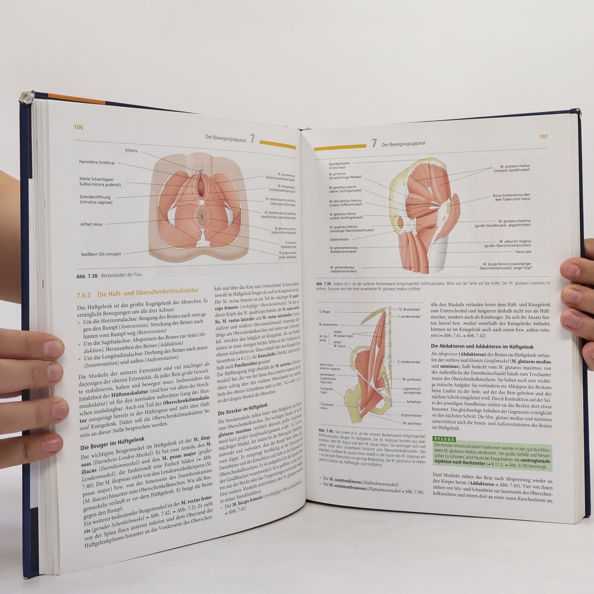 Nicole Menche Biologie, Anatomie, Physiologie