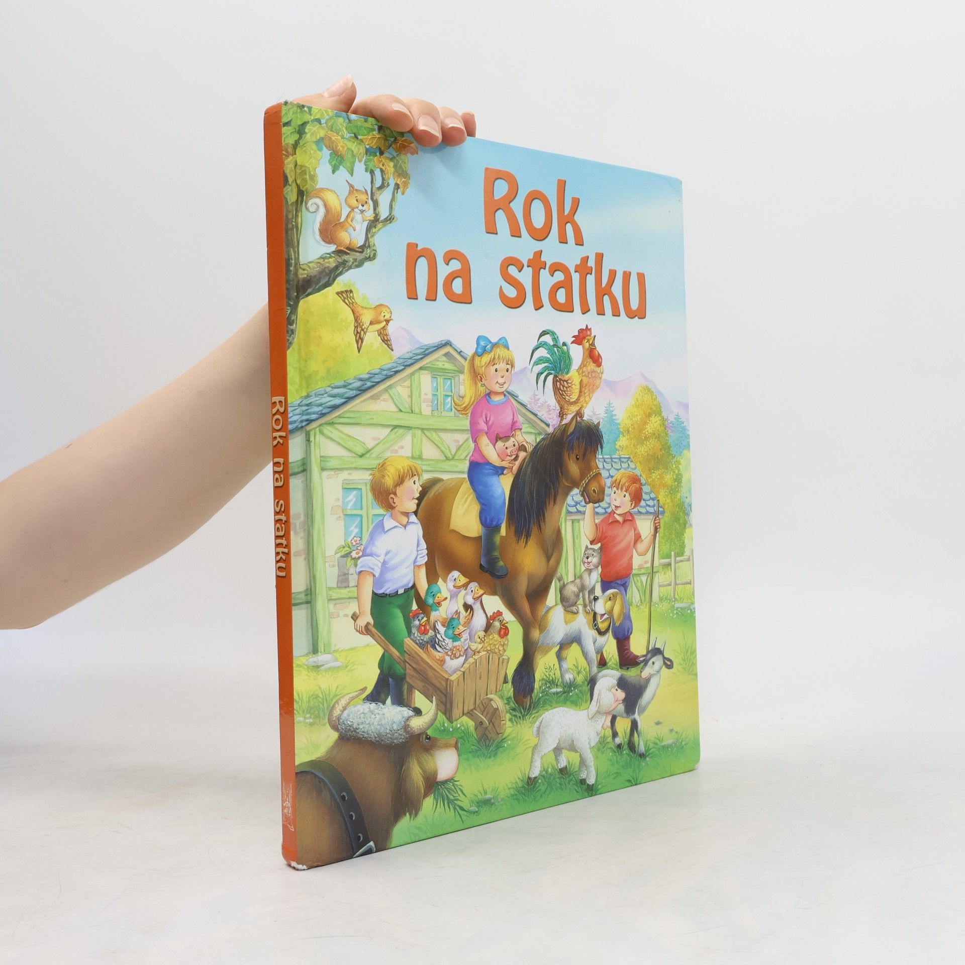 Collectif d'auteurs Rok na statku