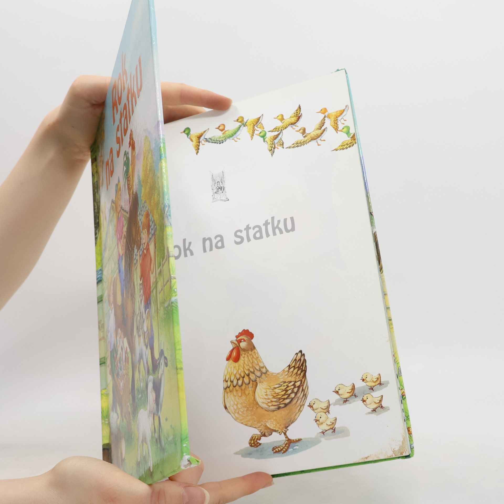 Collectif d'auteurs Rok na statku