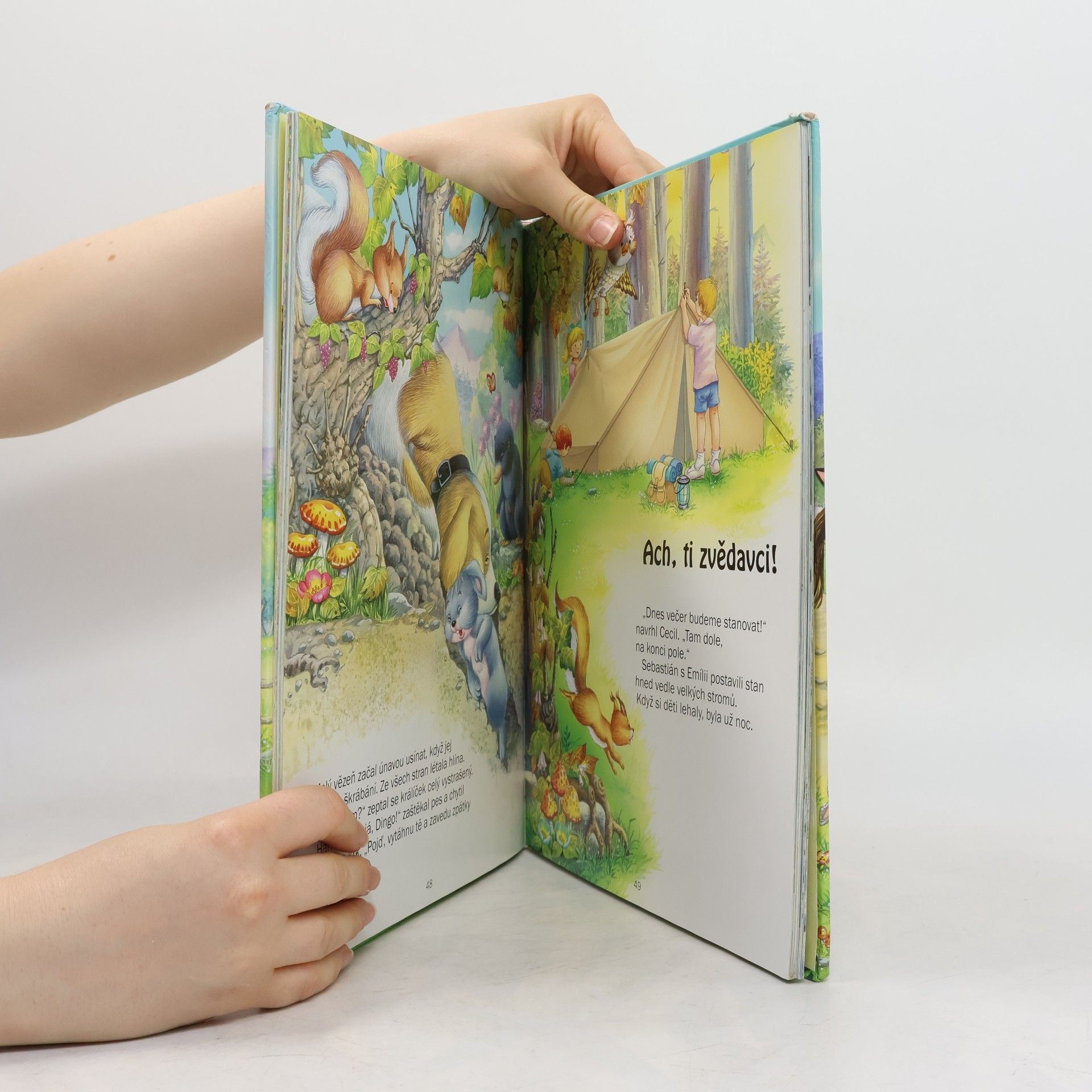 Collectif d'auteurs Rok na statku