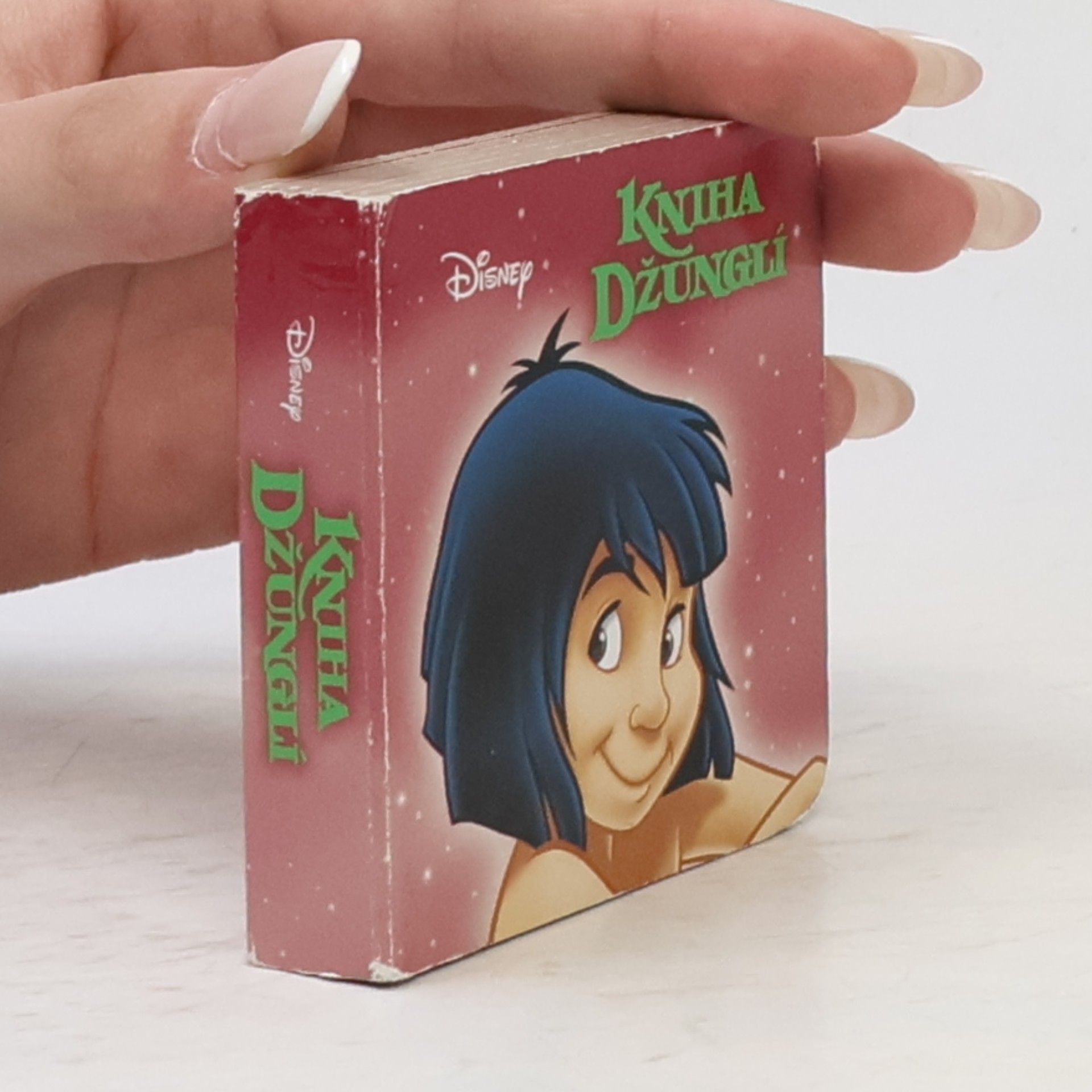 Auteurscollectief Kniha džunglí