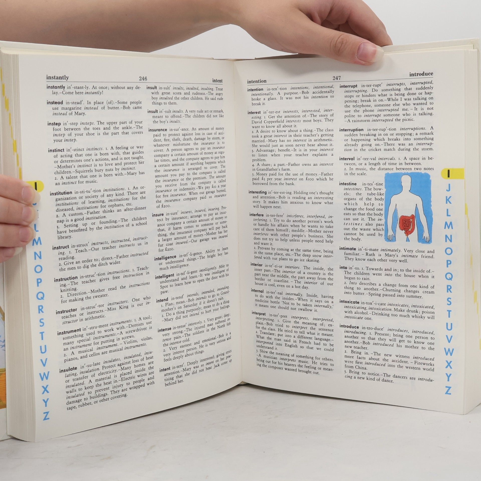 Stuart A. Courtis The Giant All-Colour Dictionary