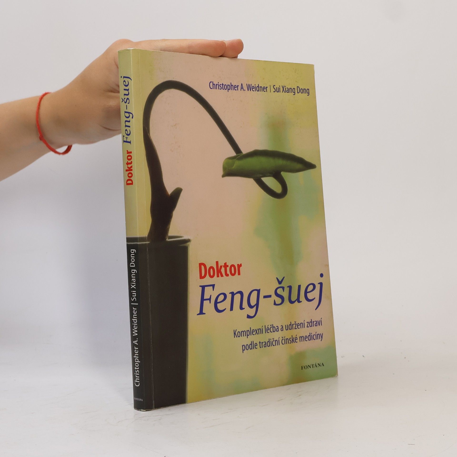 Xiangdong Sui Doktor Feng-šuej: komplexní léčba a udržení zdraví podle tradiční čínské medicíny