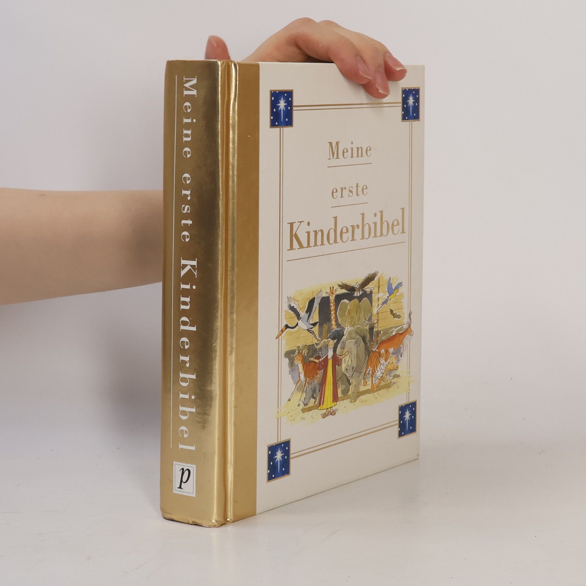 Collectif d'auteurs Meine erste Kinderbibel