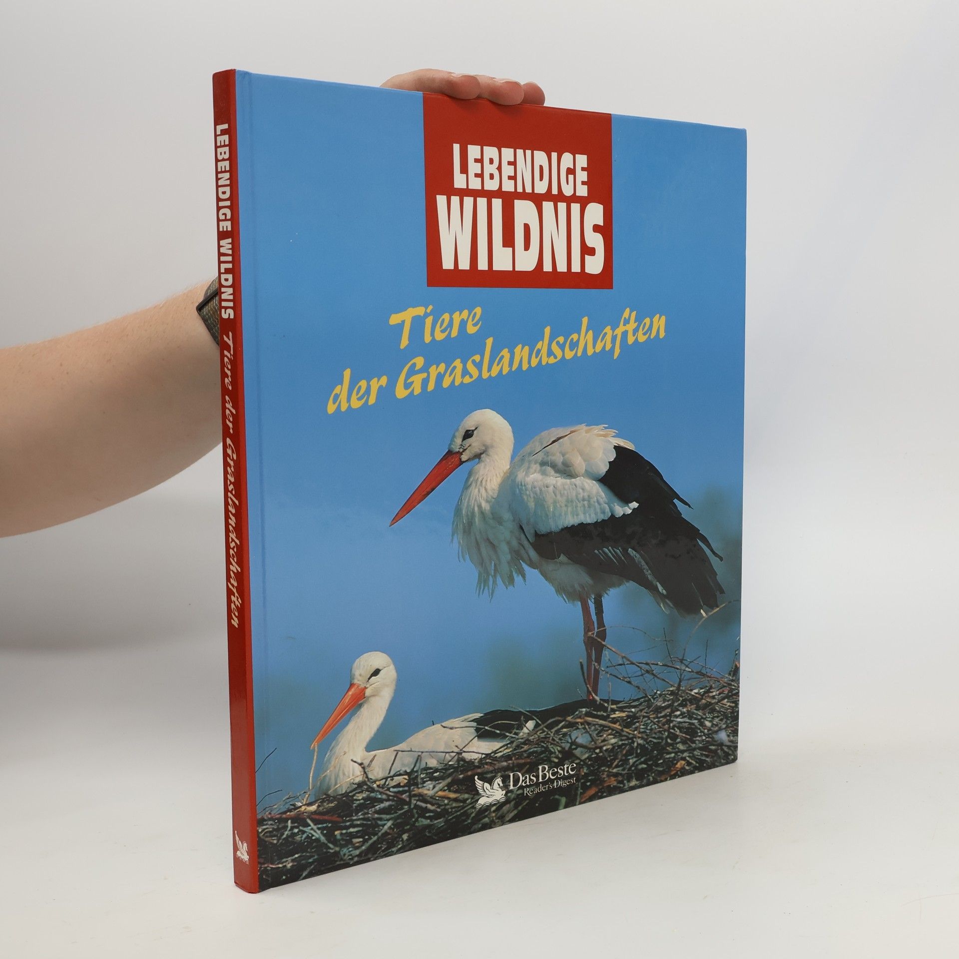 Collectif d'auteurs Lebendige Wildnis : Tiere der Graslandschaften