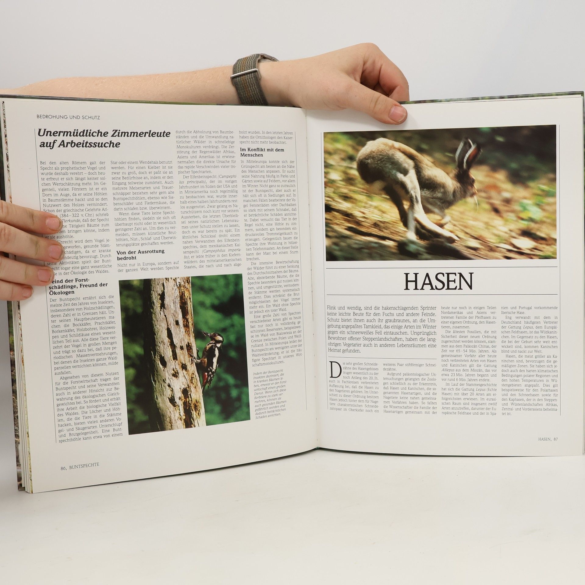 Christoph Arndt Tiere der Heide und Mischwälder