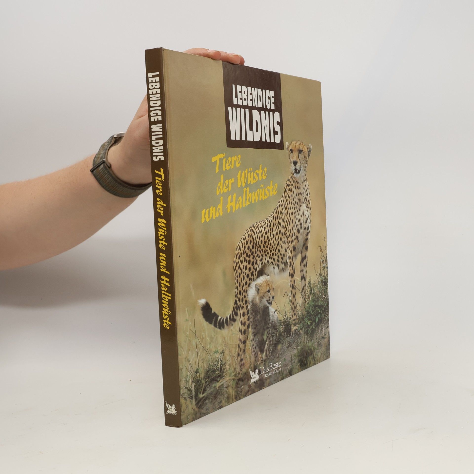 Angela Meder Tiere der Wüste und Halbwüste