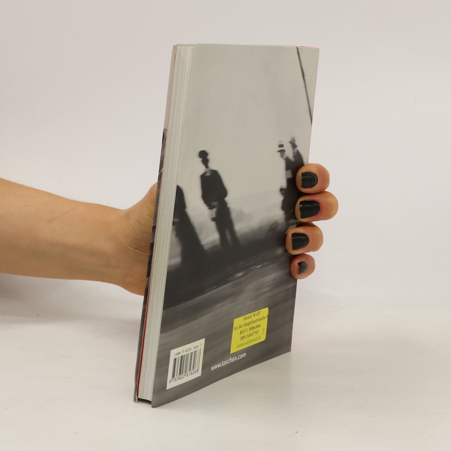Michael Koetzle Photo Icons. Die Geschichte hinter den Bildern Band 1