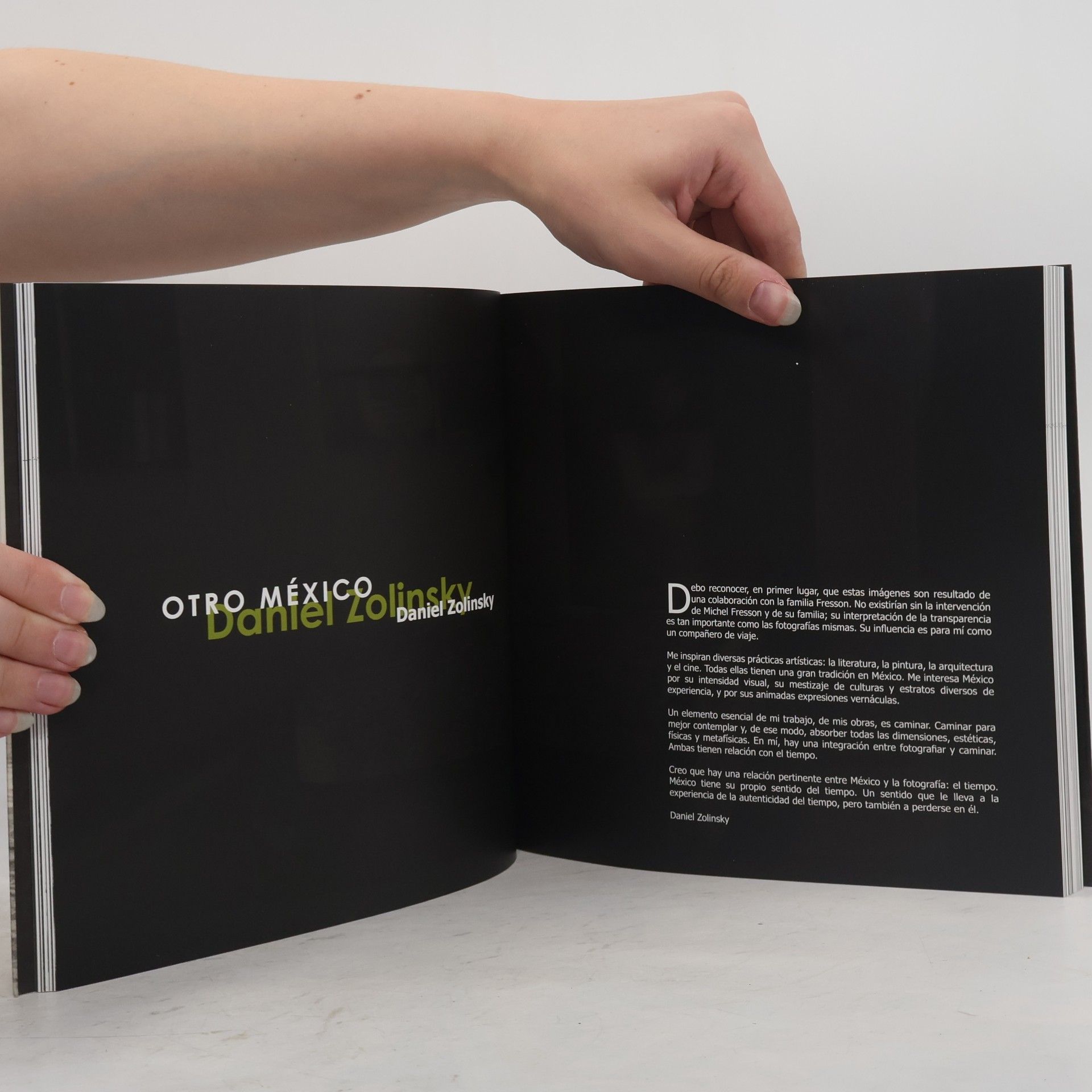 Autores varios Visiones de México