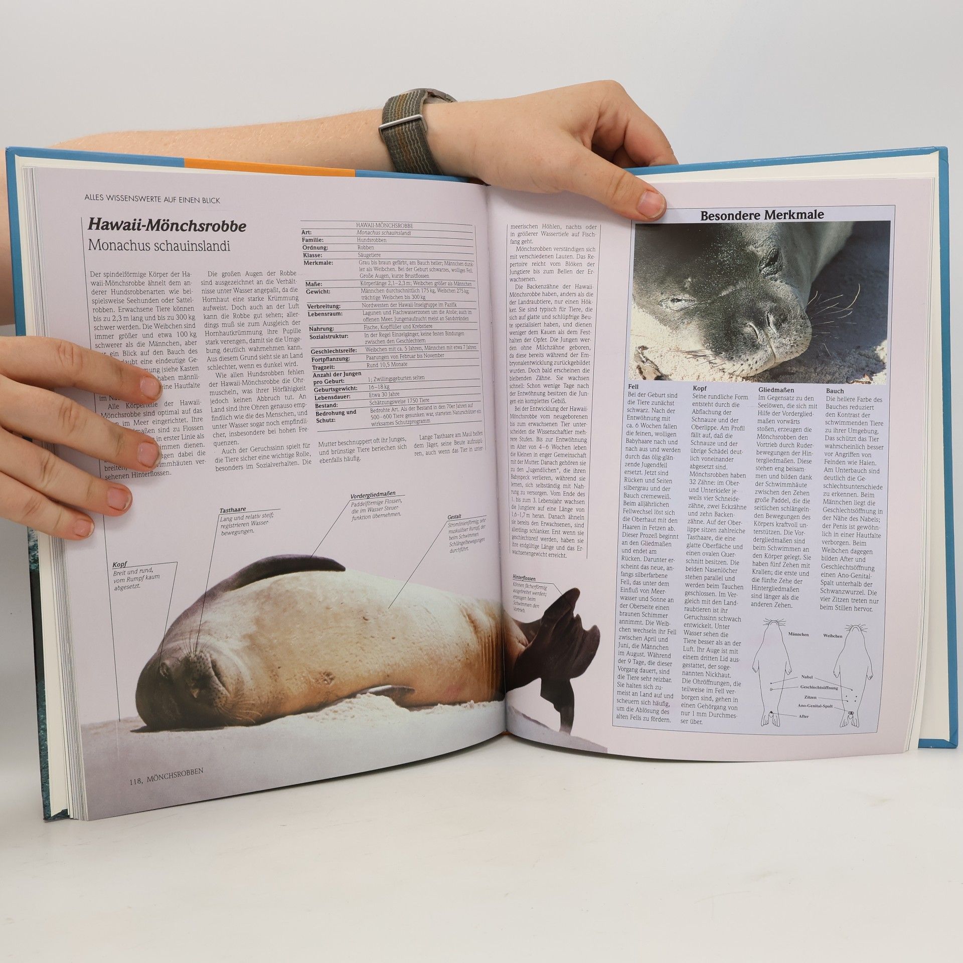 Autorenkollektiv Lebendige Wildnis : Tiere der Meeresküsten