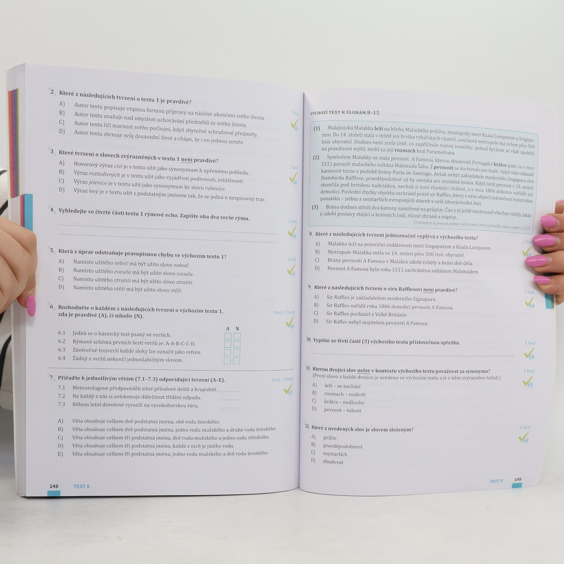 Kolektiv autorů Přijímačky v pohodě 9. Český jazyk a literatura