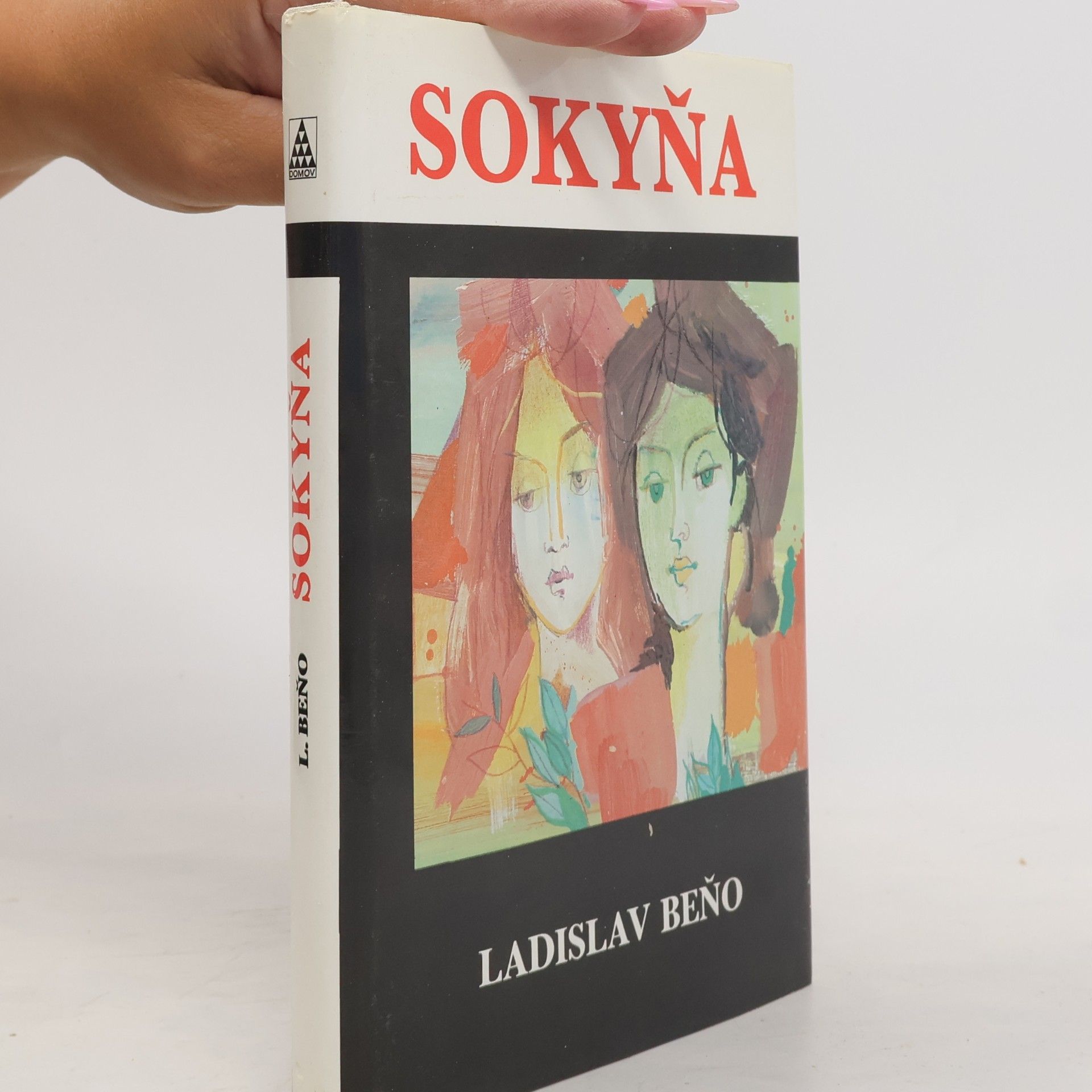Sokyňa
