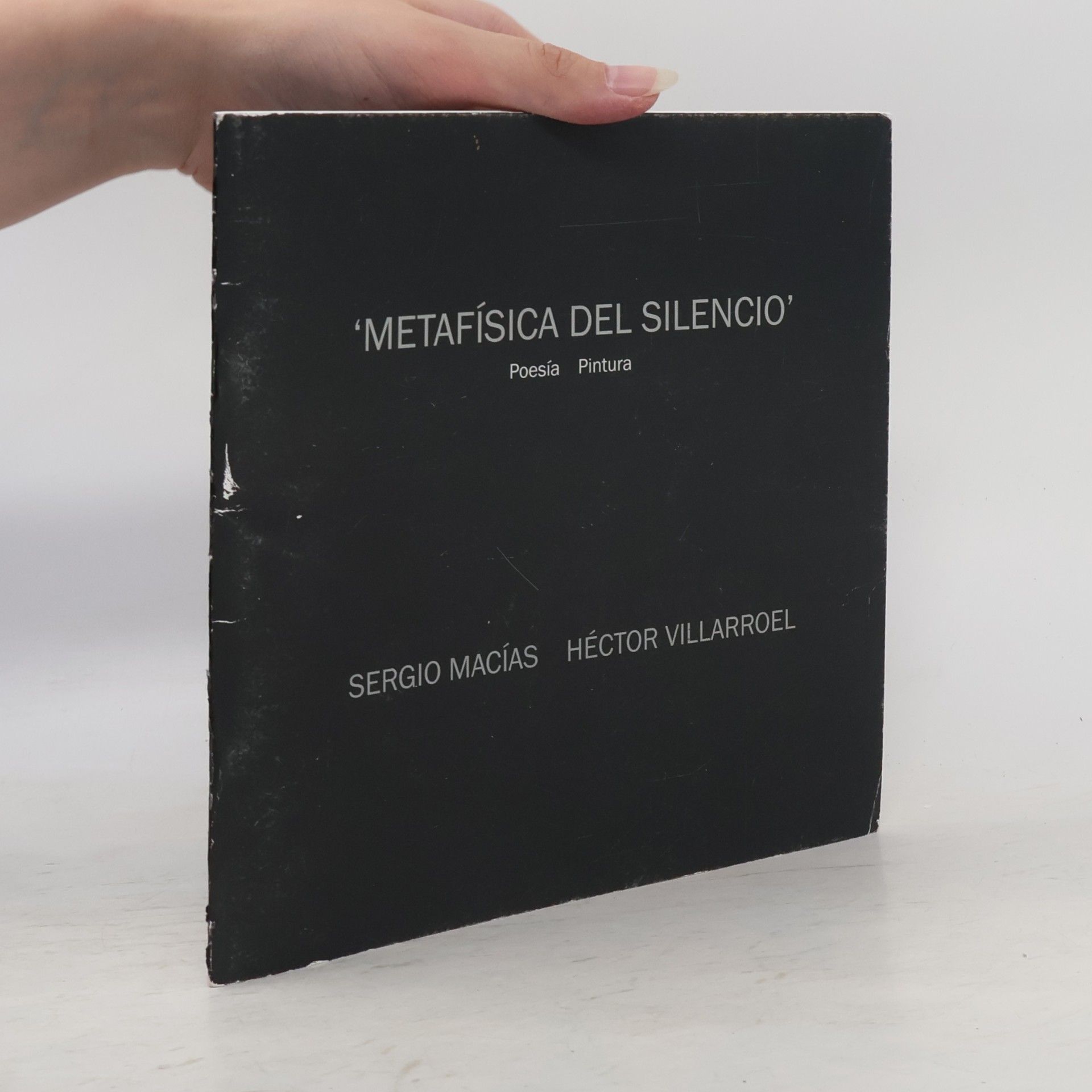 Héctor Villarroel Metafísica del silencio