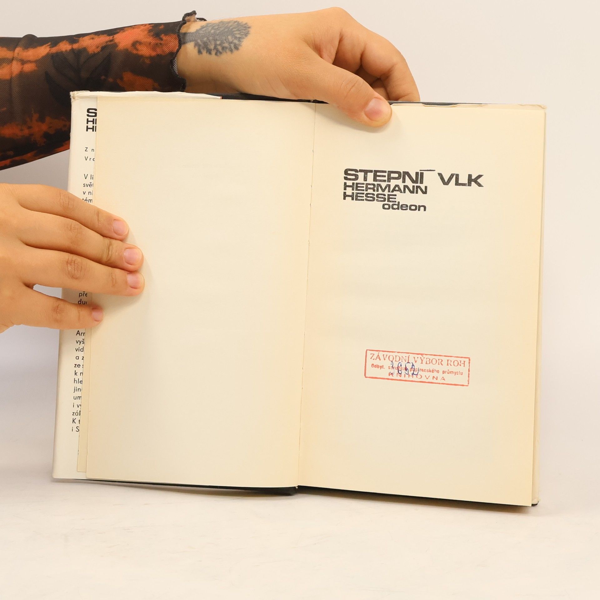 Hermann Hesse Stepní vlk